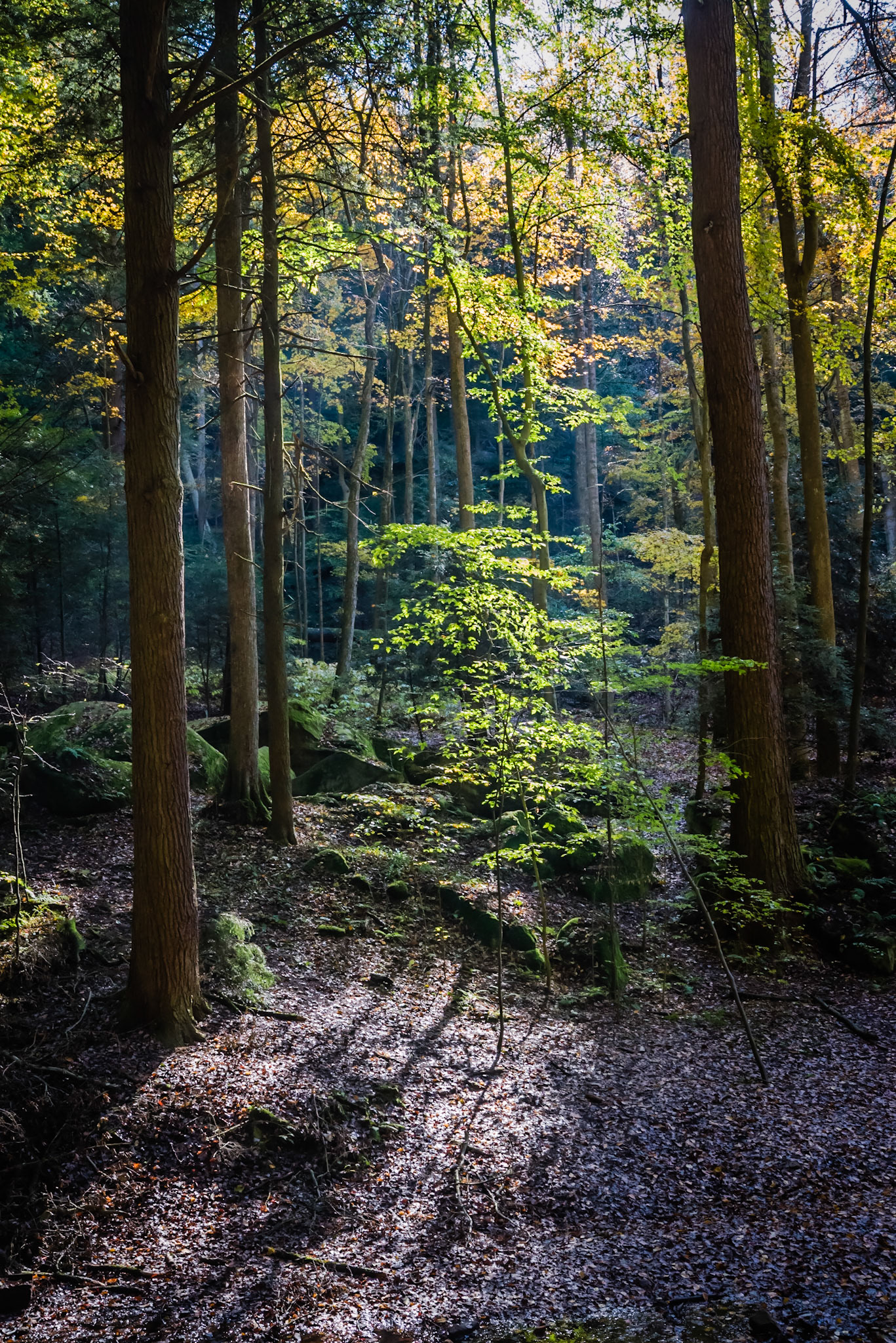 Hocking Hills &amp; Lake Hope -- October, 2013