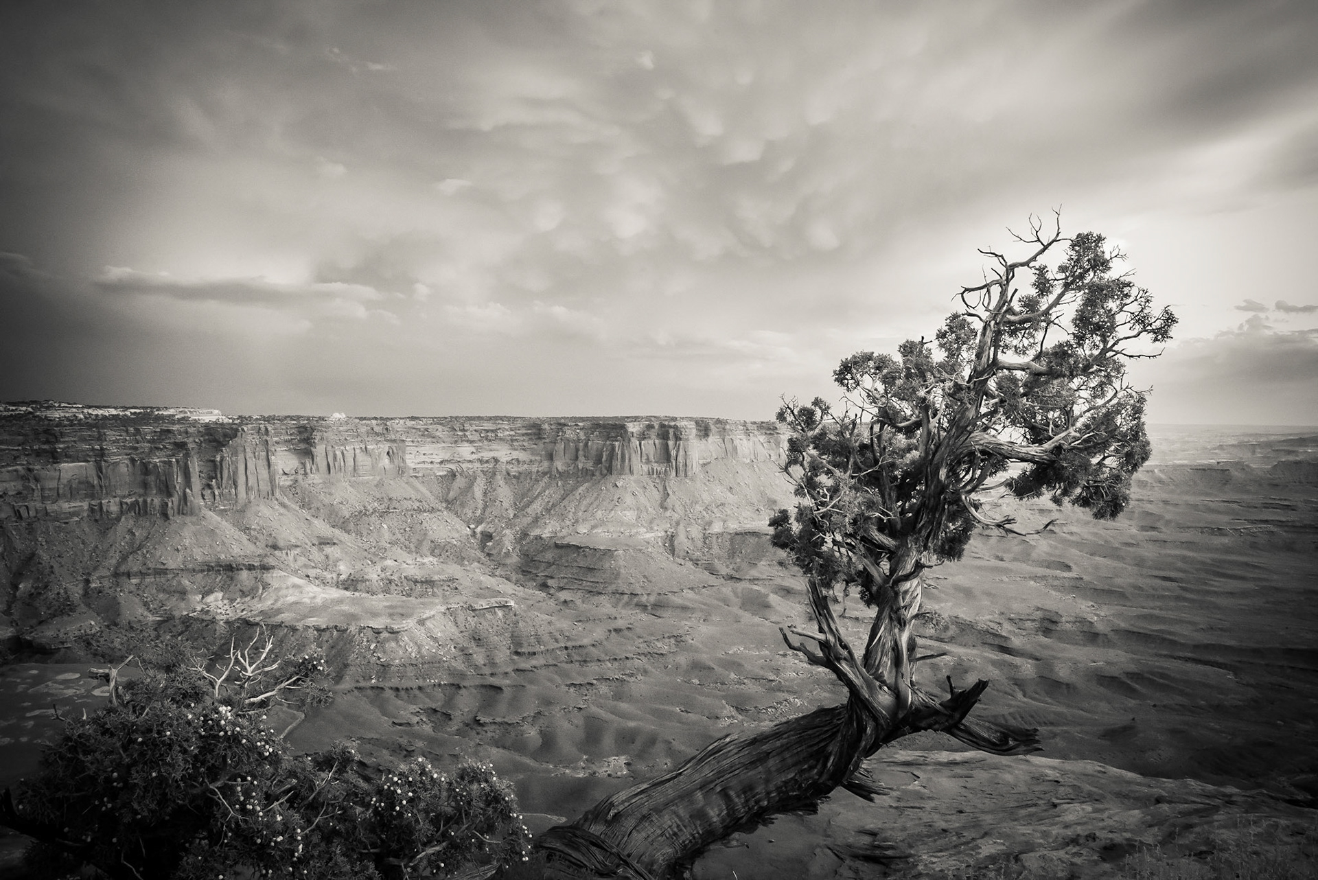 Green River Overlook, Canyonlands National Park
