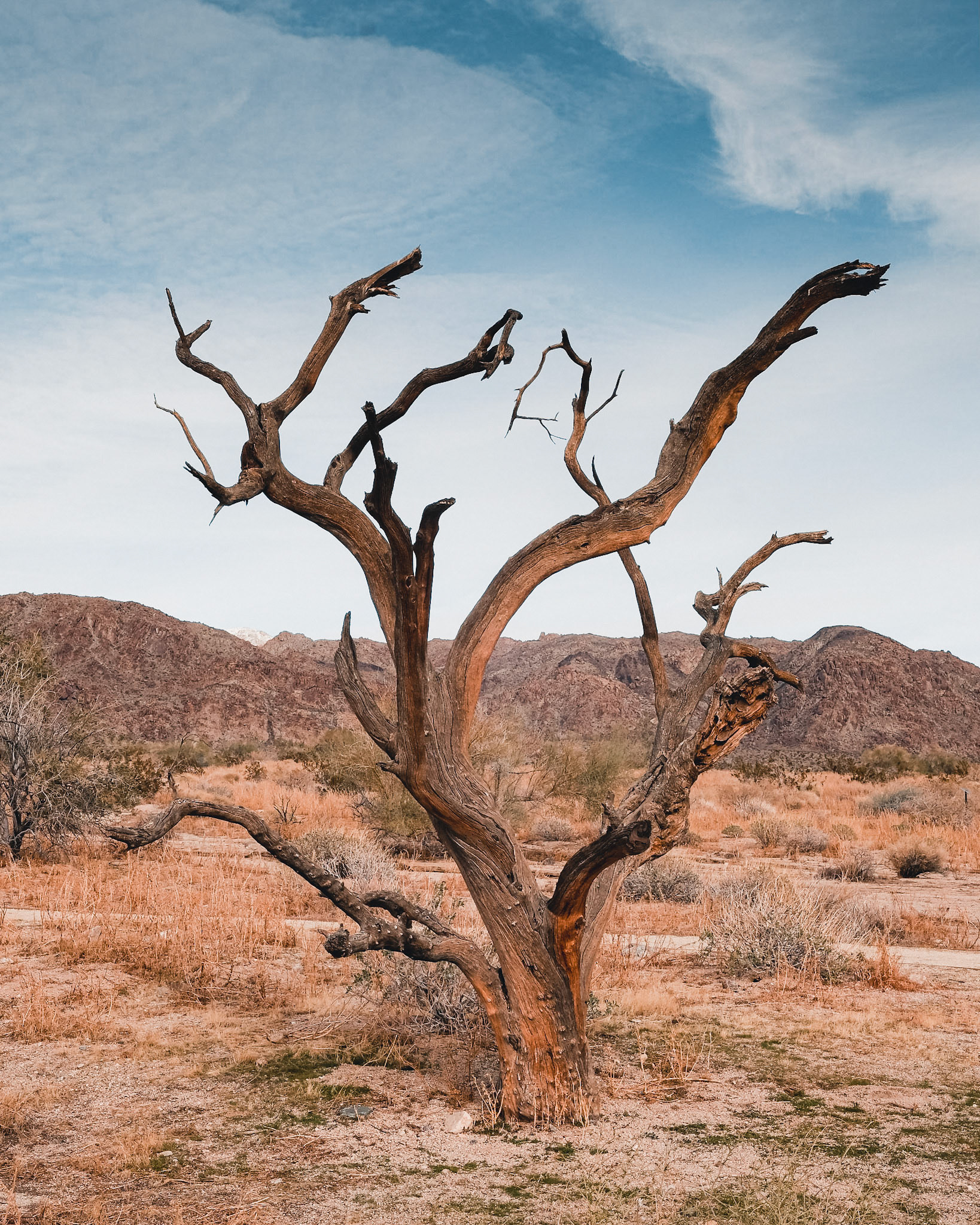 near Bajada Nature Trail