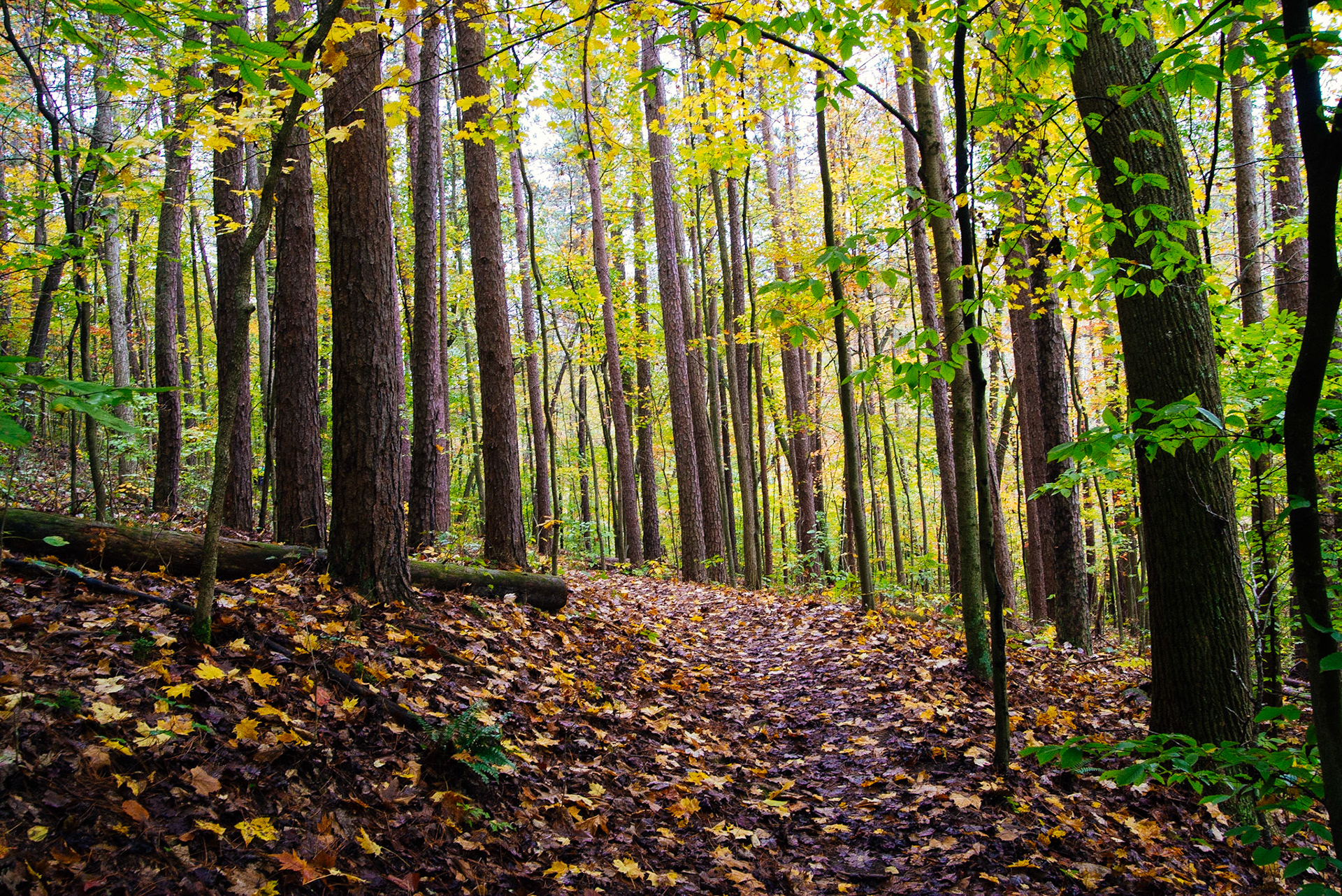 Hocking Hills &amp; Lake Hope -- October, 2013