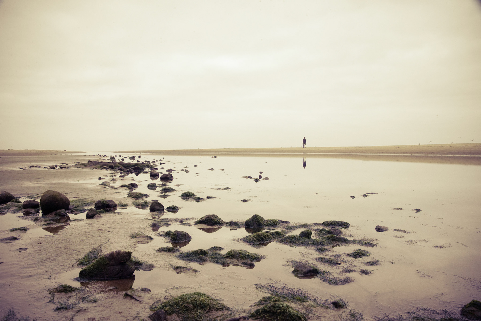 Cannon Beach, Oregon Coast