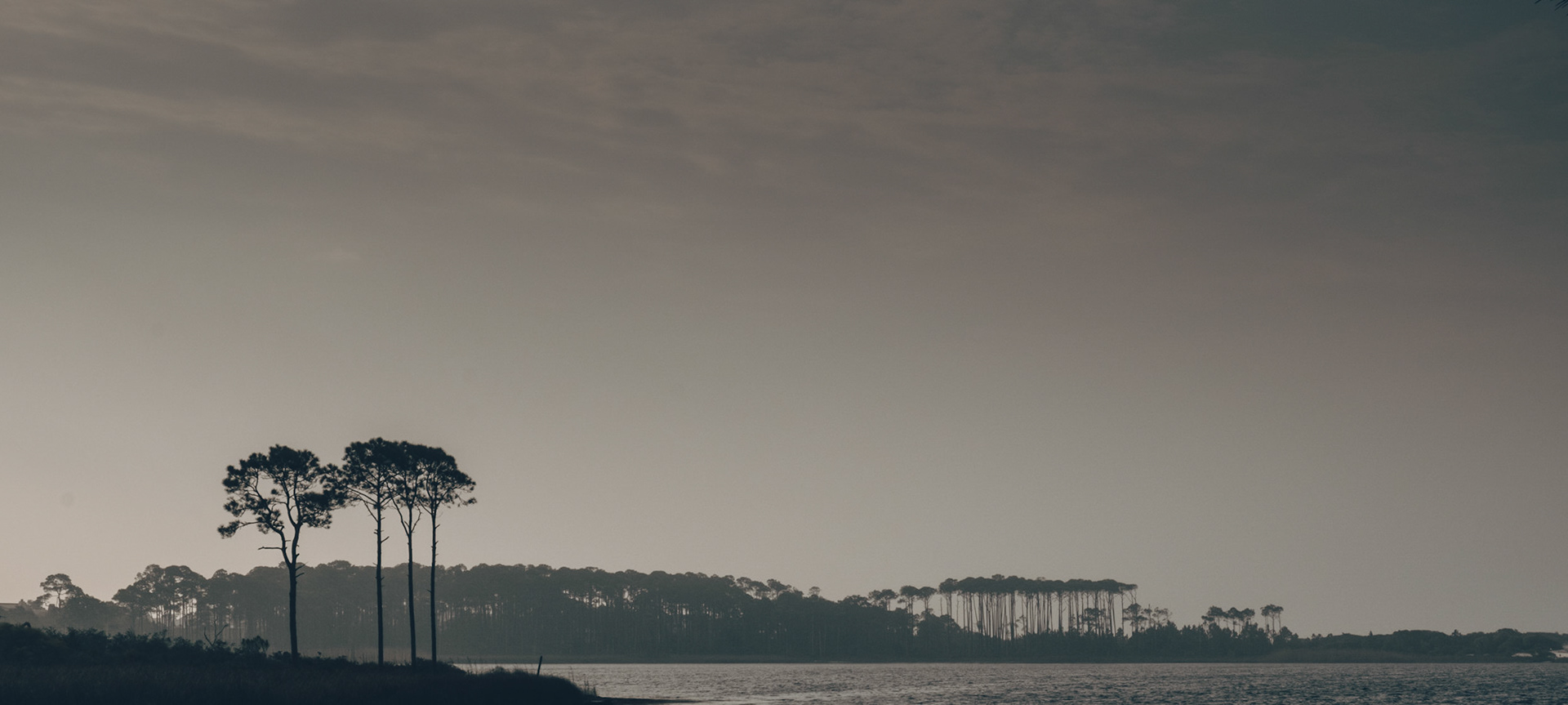 Morning at Western Lake, Grayton State Park, Florida, 2016