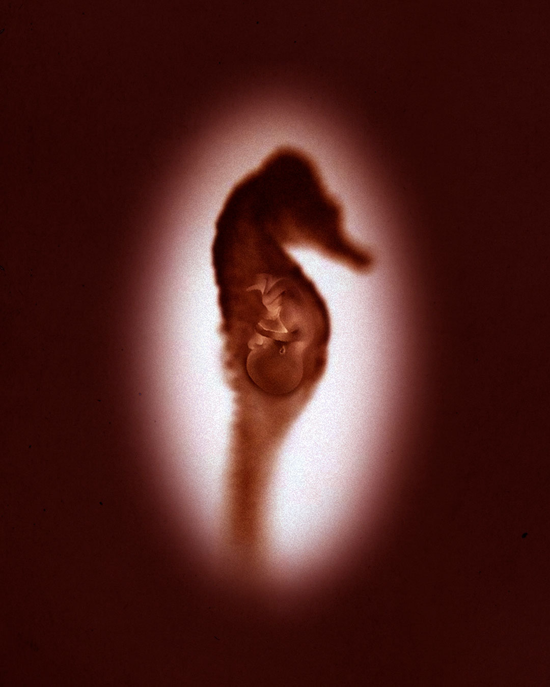 Photo-illustration concept