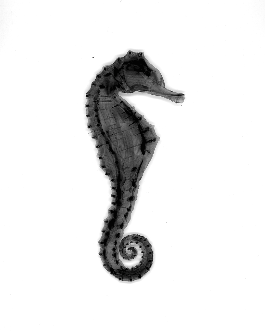 Exploratory ink effects