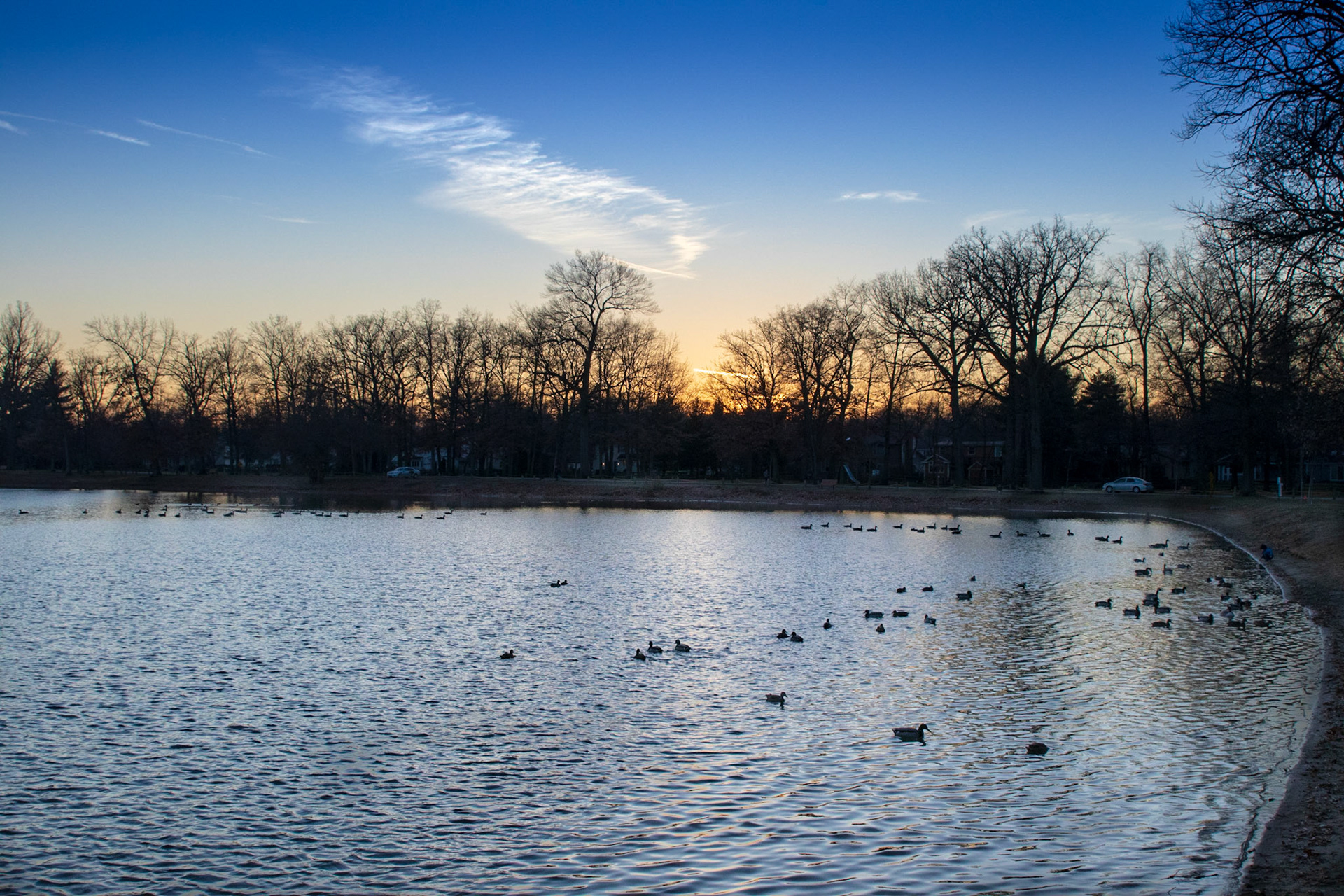 Olander Park, Sylvania, OH in January