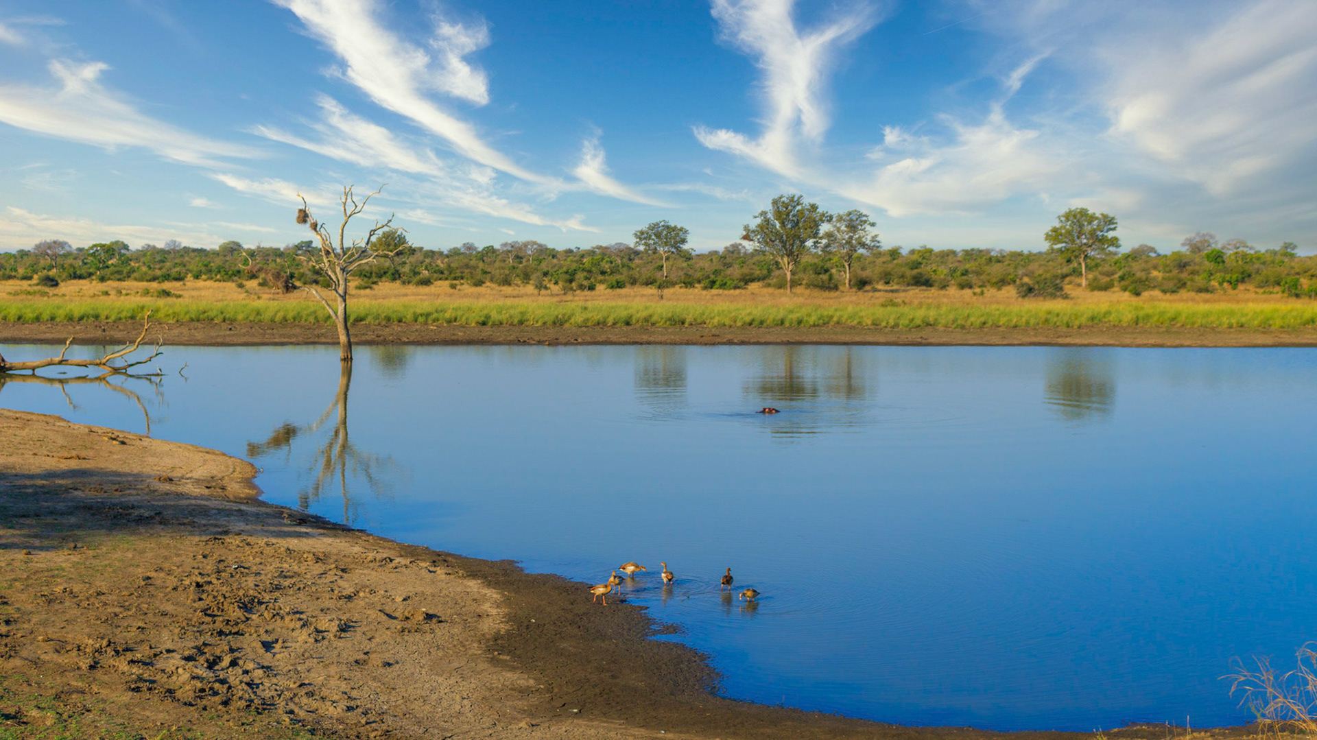 mazithi dam in the Kruger National park