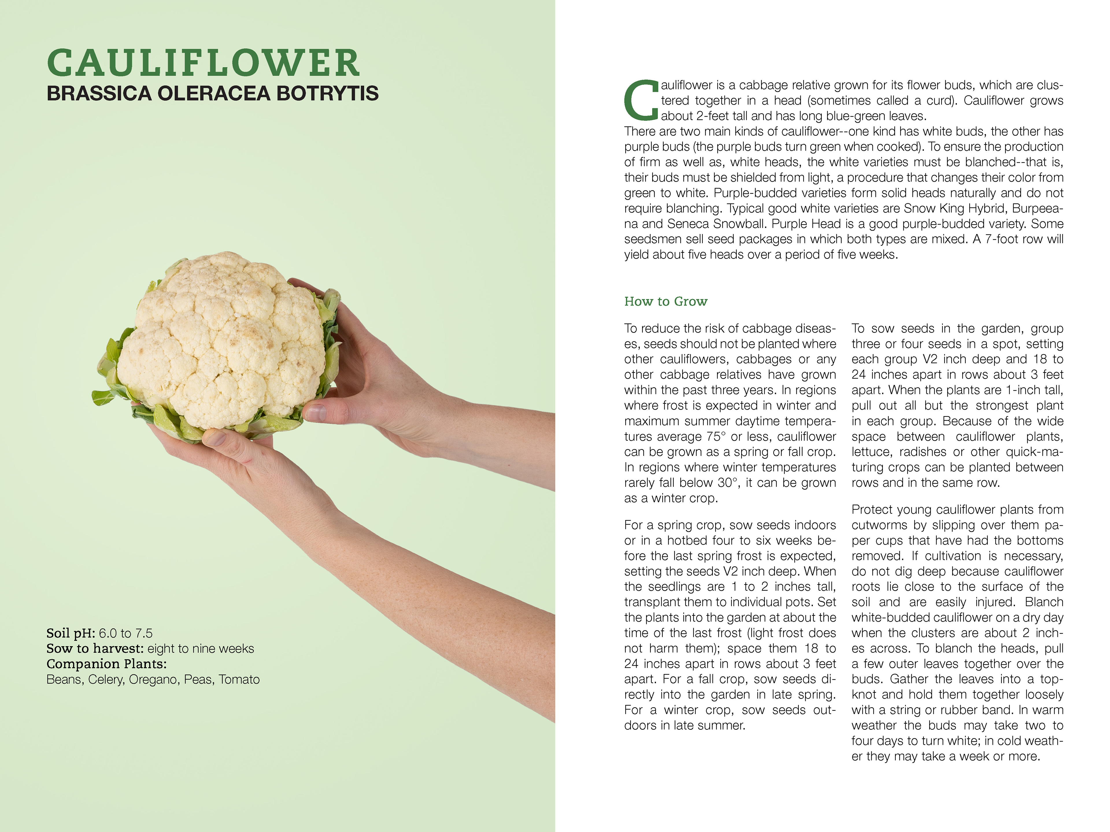 Growing Vegetables Book