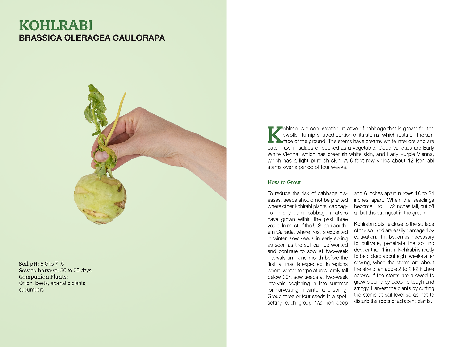 Growing Vegetables Book