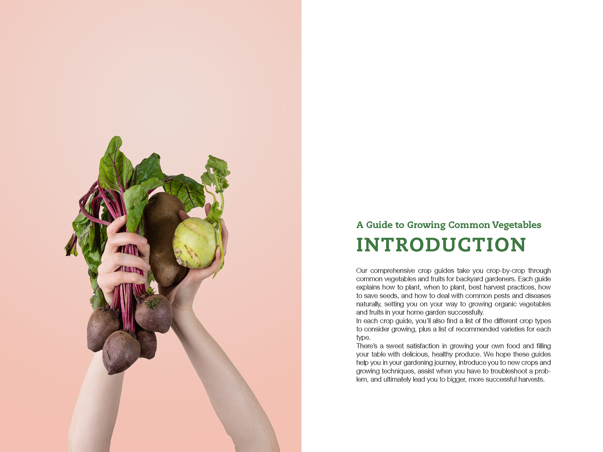 Growing Vegetables Book