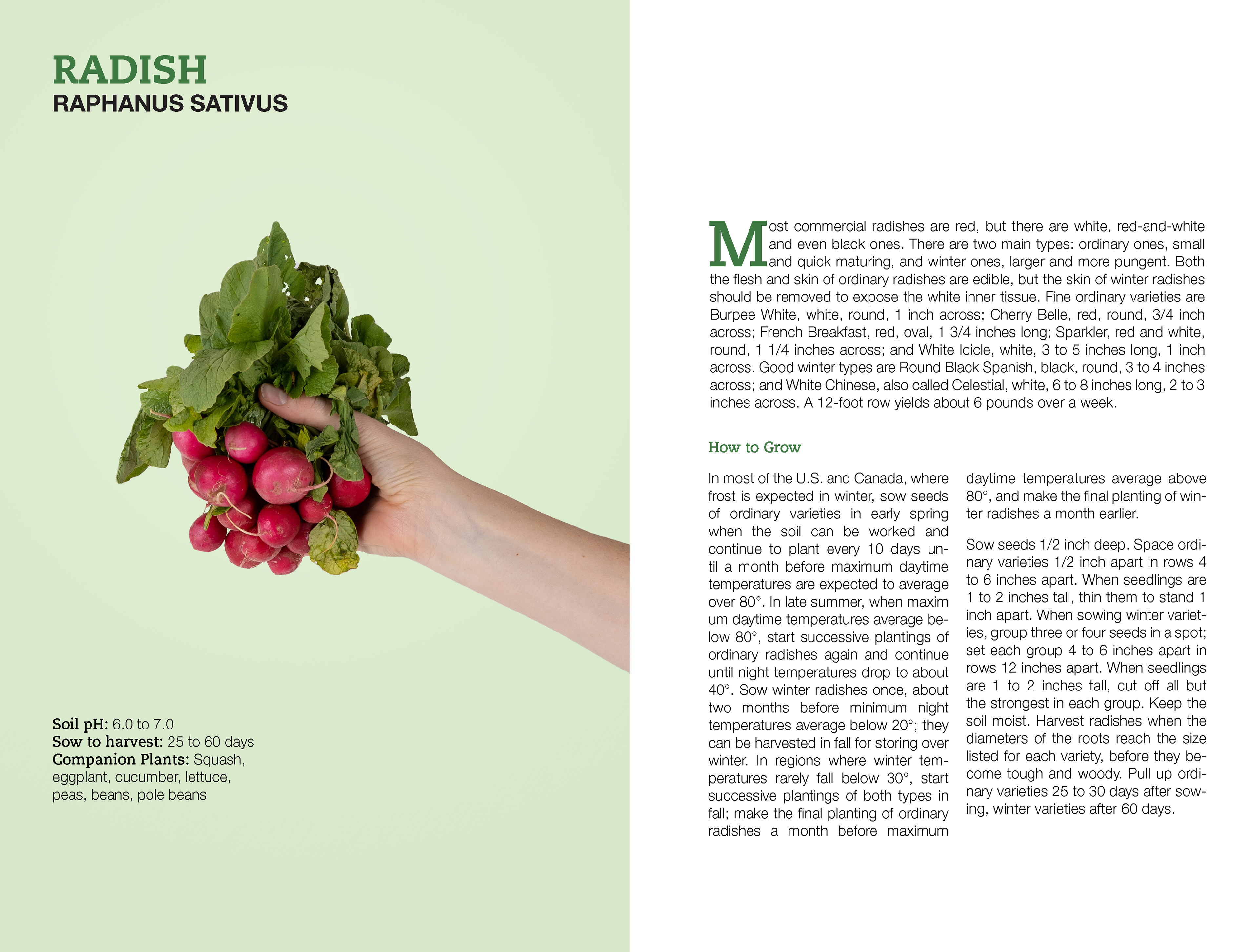 Growing Vegetables Book