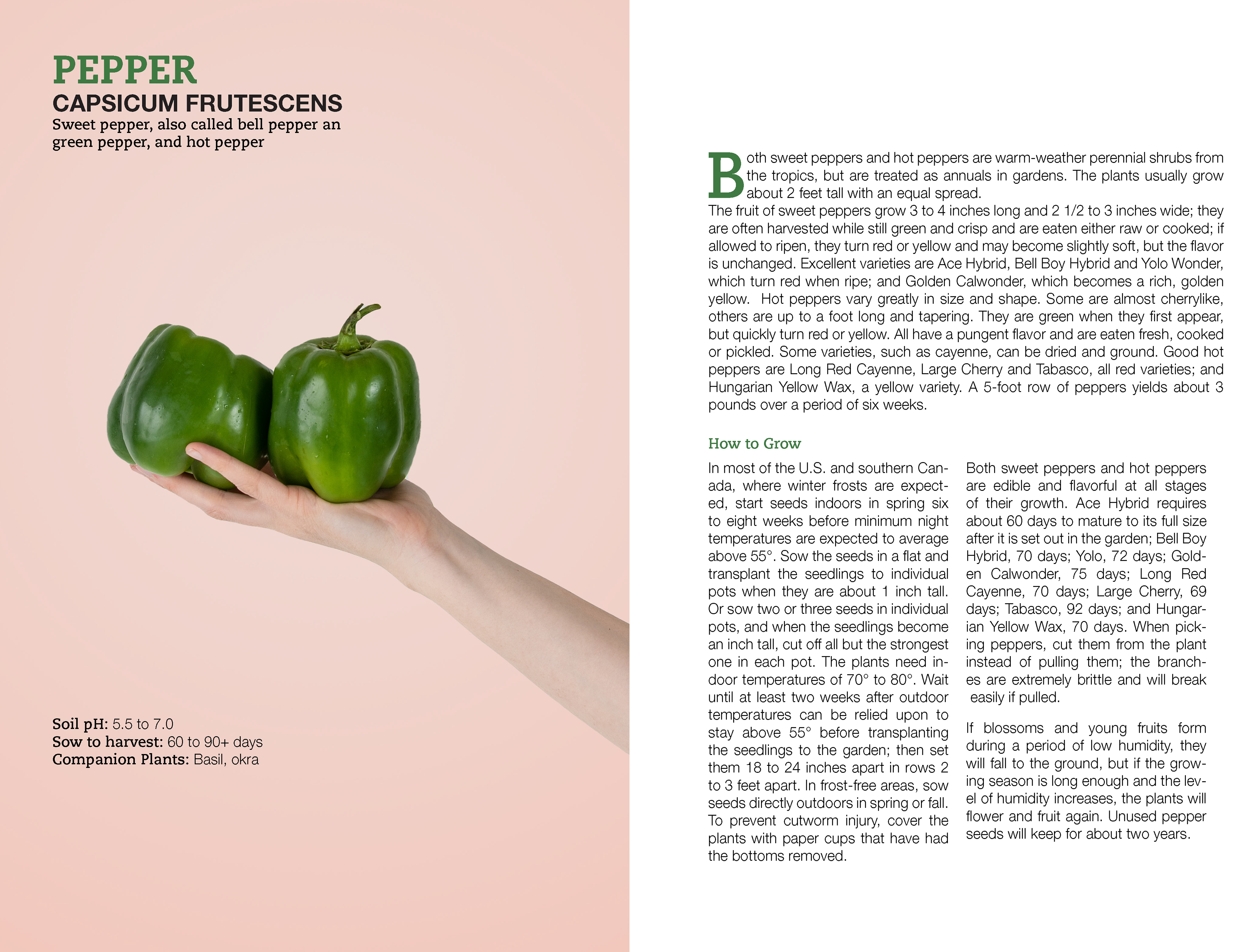 Growing Vegetables Book