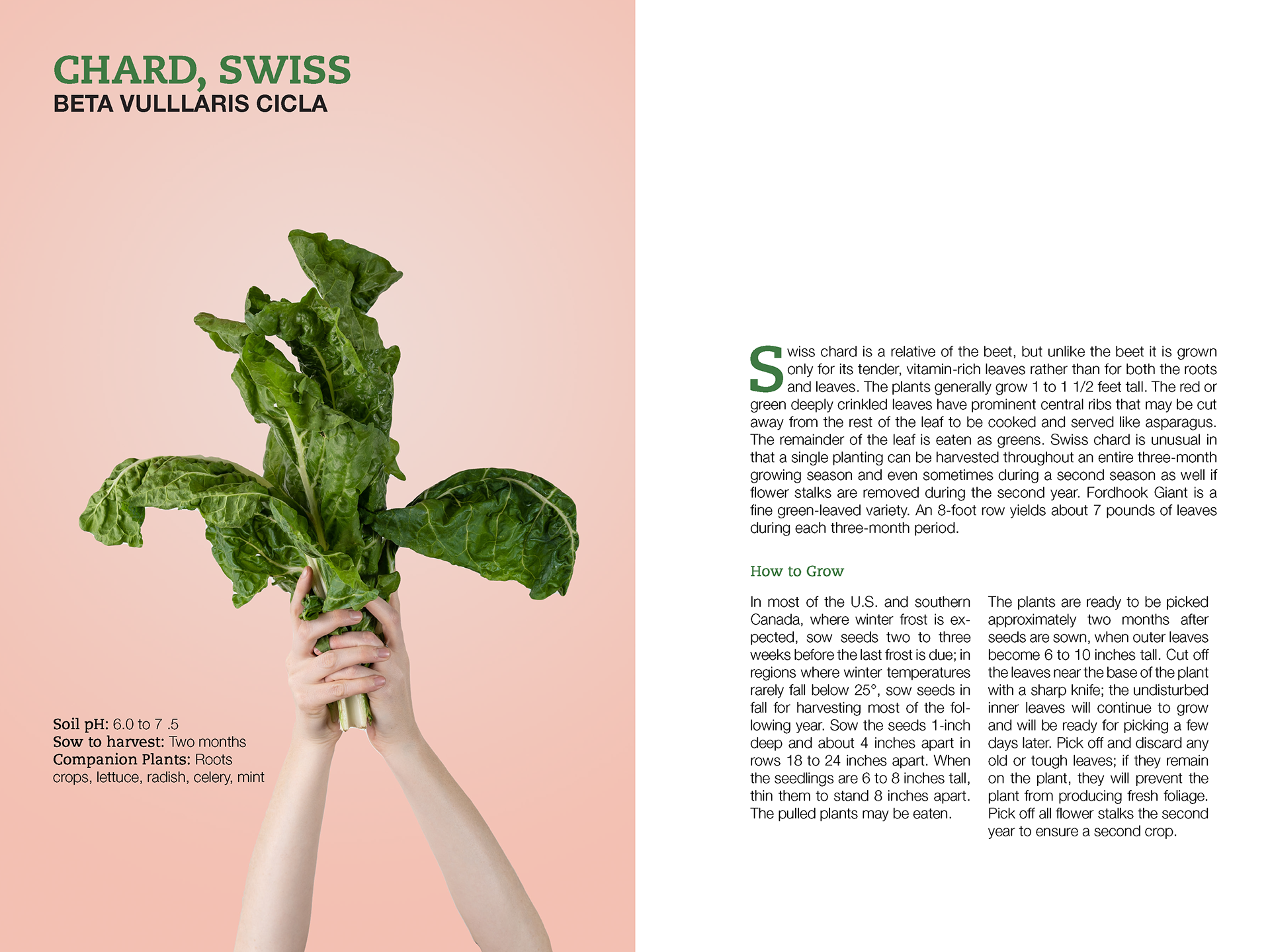 Growing Vegetables Book