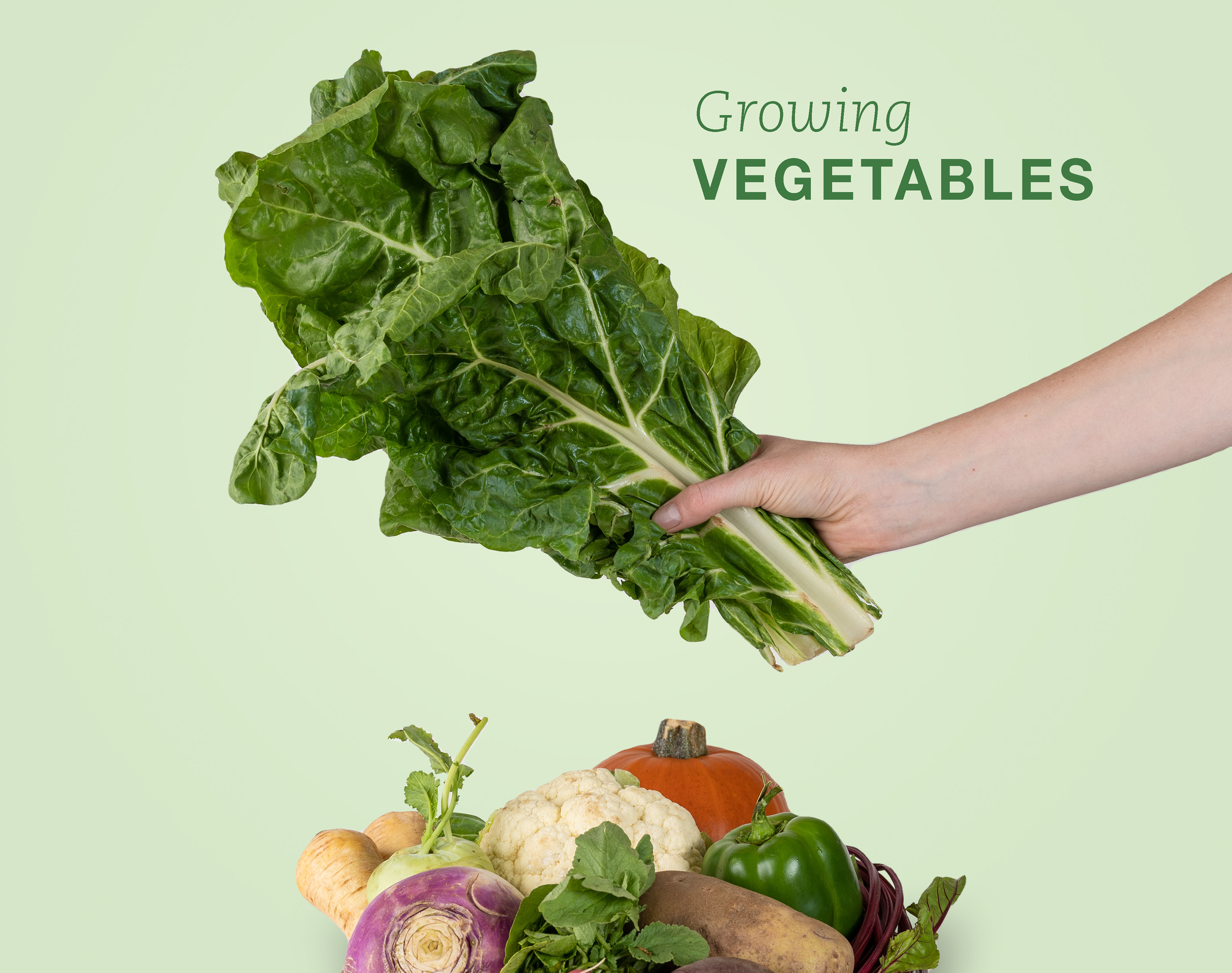 Growing Vegetables Book