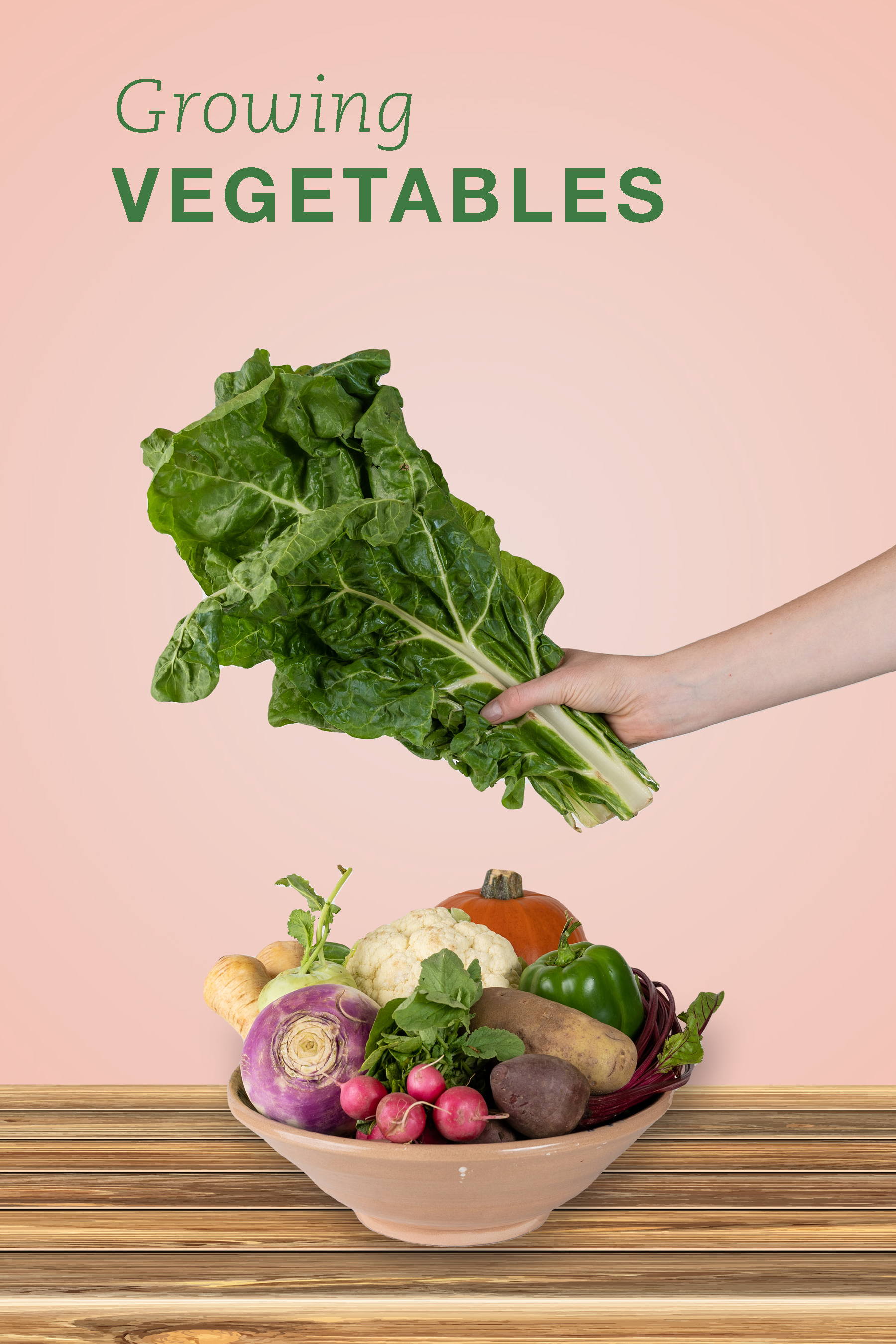 Growing Vegetables Book