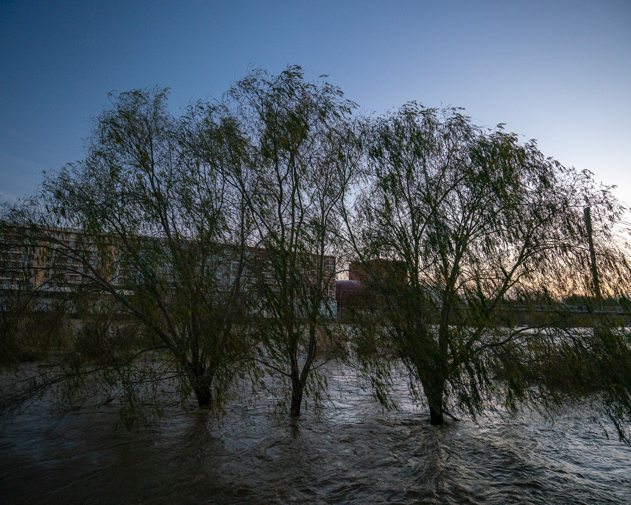 The Têt river still overflowing the next day