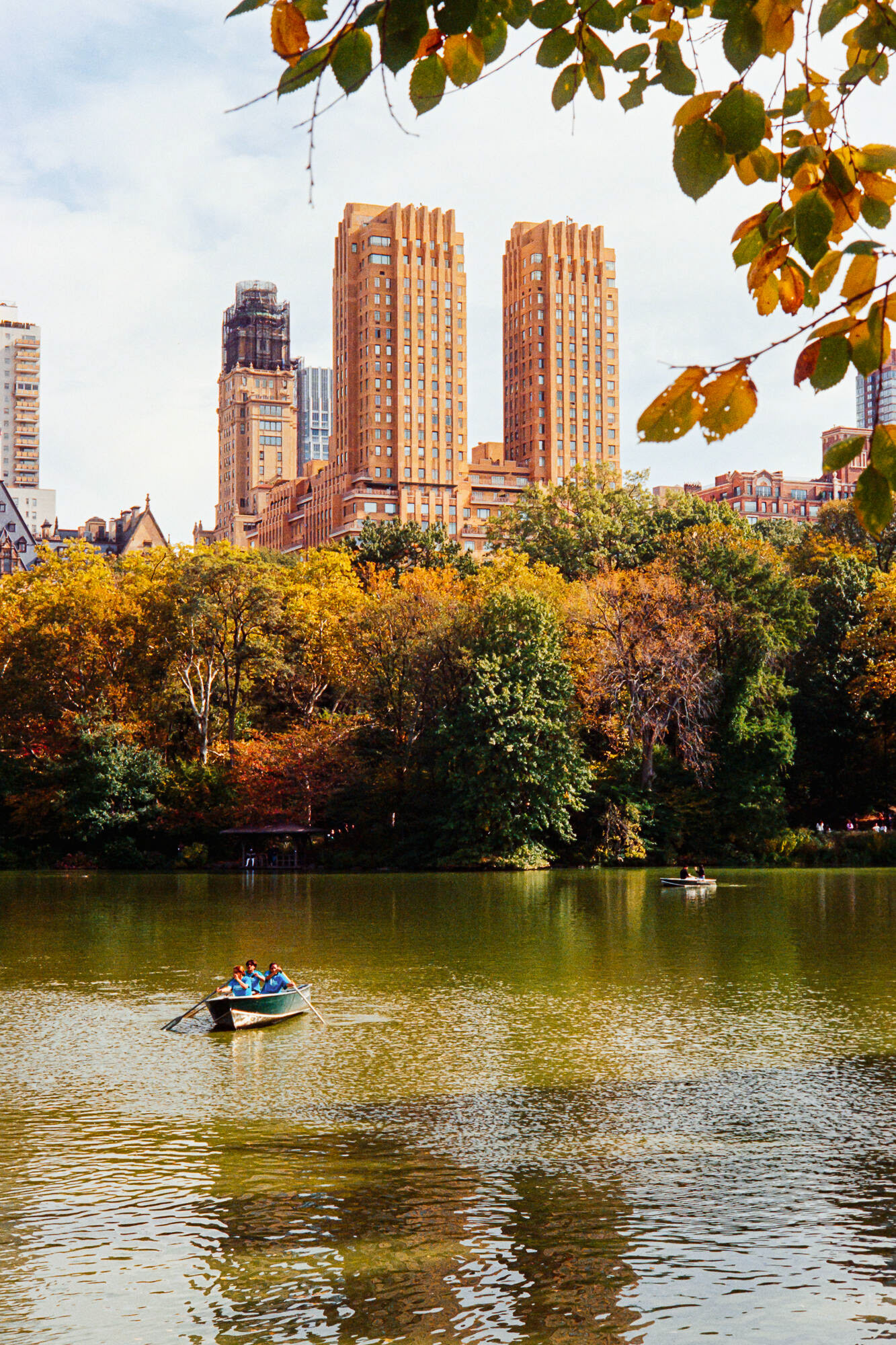 Central Park autumn || Kodak Vision3 250D