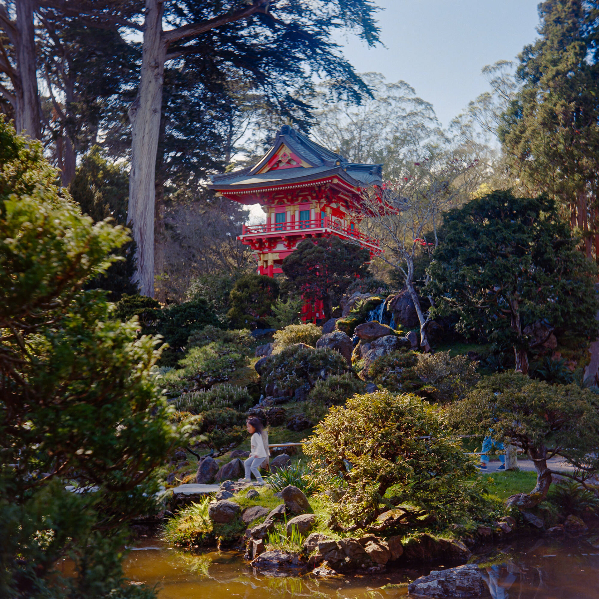 Skipping through the garden || Kodak Ektar 100