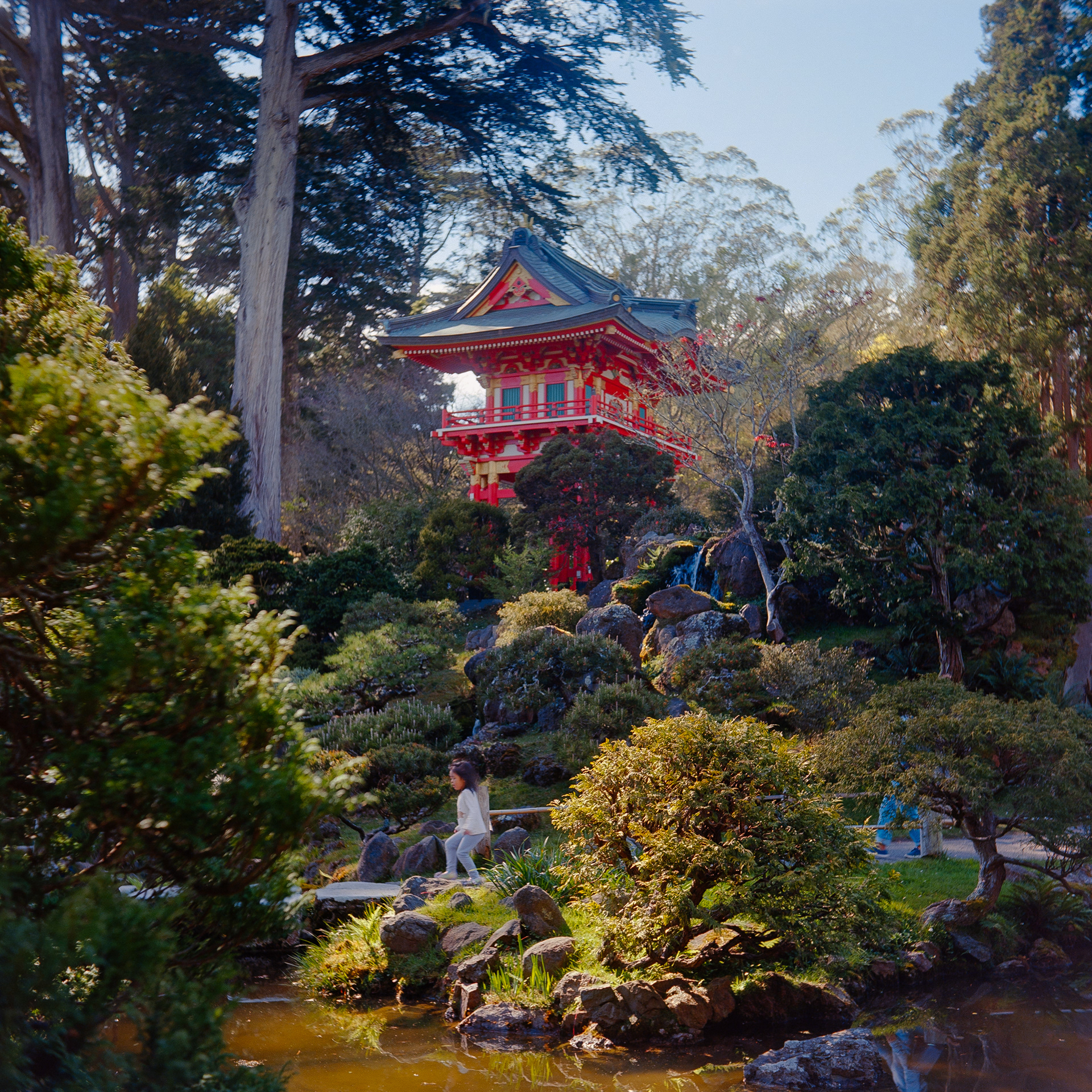 Skipping through the Japanese Tea Garden