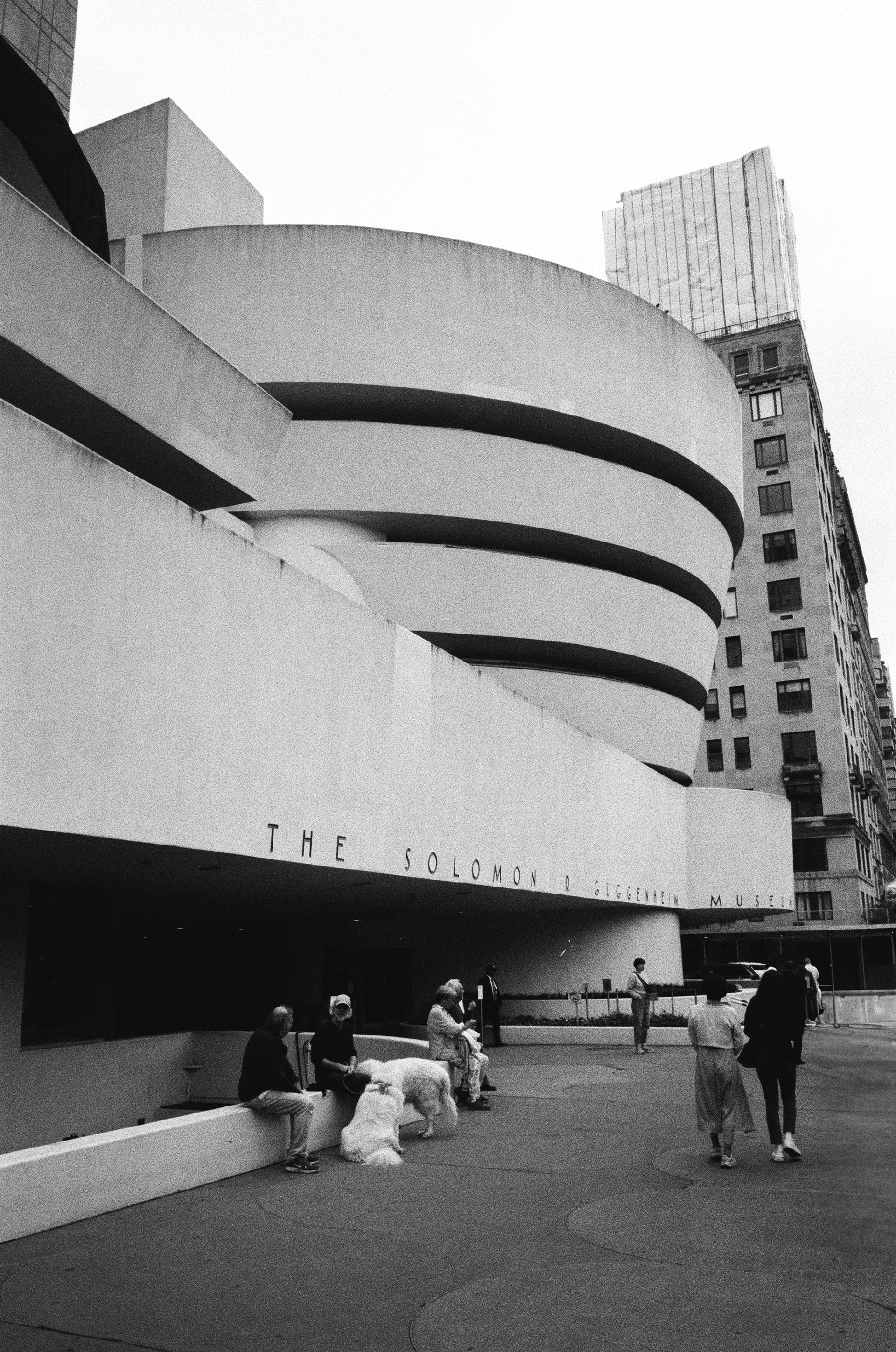 The Solomon Guggenheim Museum