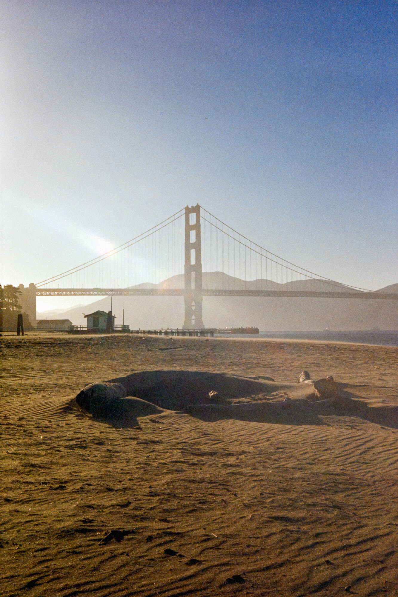 Golden Gate, Golden Hour || Kodak Vision3 250D