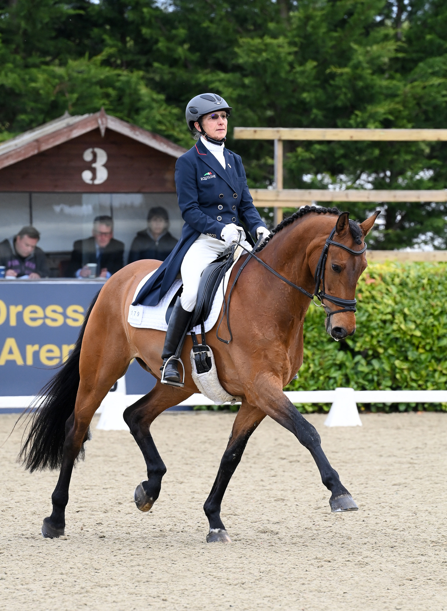 medium trot