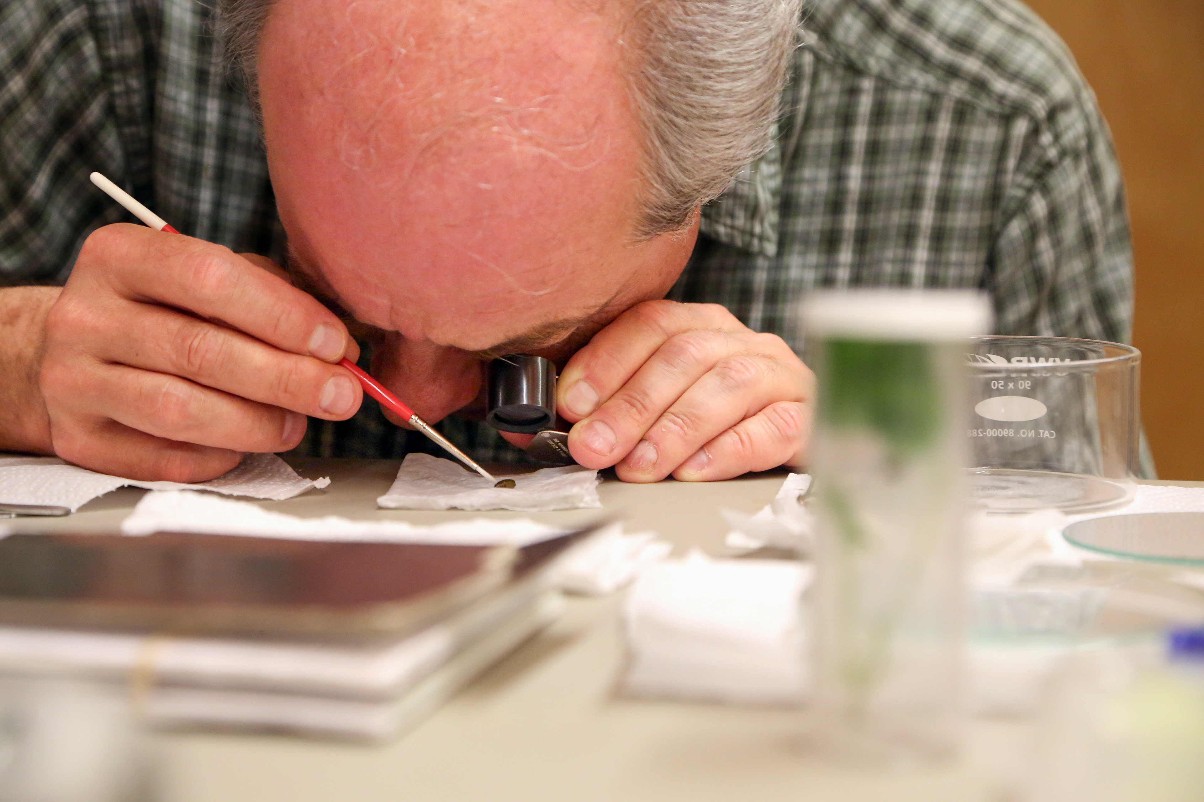 David Liittschwager adjusts the position of a chrysalis with a paintbrush before taking its photo on Sunday, July 28, 2019 at Southwestern Research Station near Portal, Arizona.