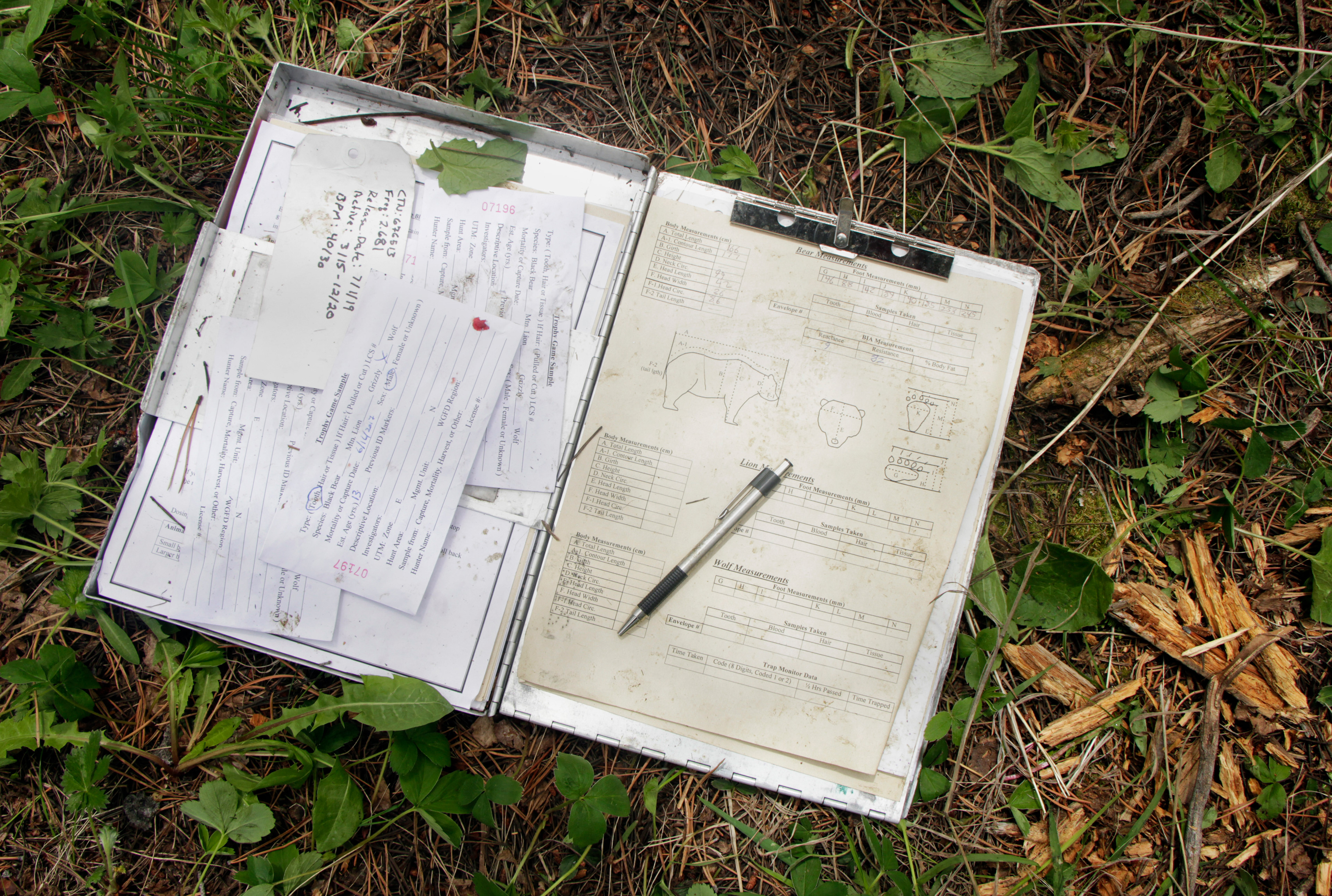 A clipboard holding charts sits partially filled out on the forest floor.