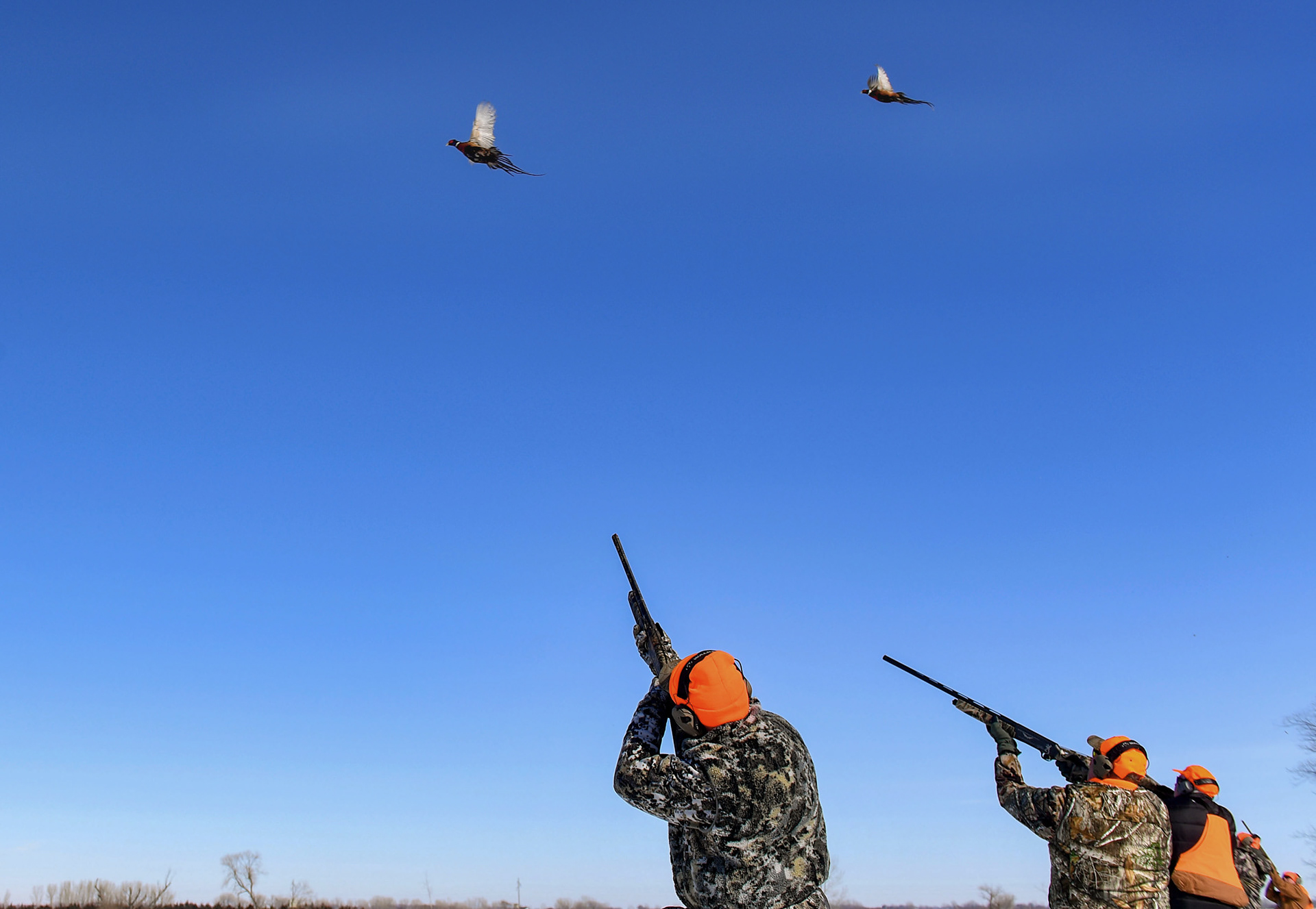 Veterans take aim at pheasants as they fly overhead on a Wings of Valor retreat on Friday, February 17, 2023, in Parker, SD.