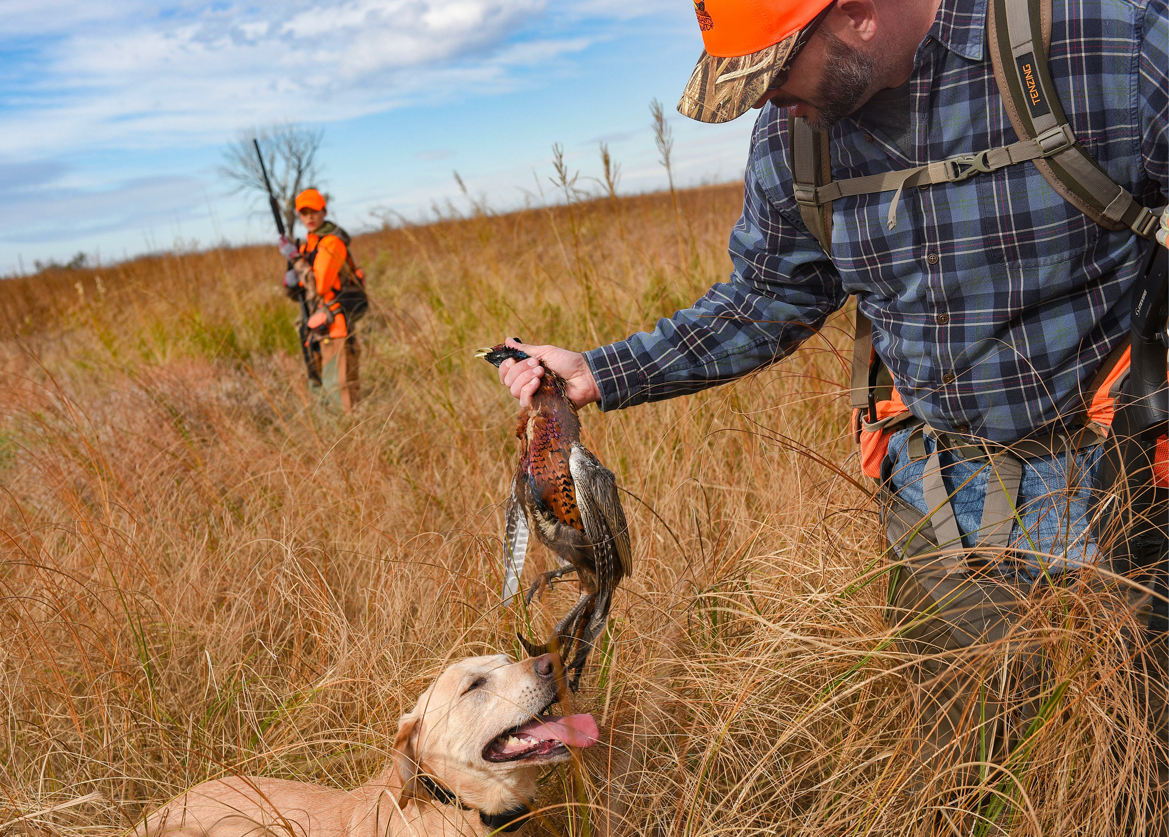 Andrew Johnson takes a bird retrieved by his dog, Gage, during the pheasant season opener on Saturday, October 17, 2020, near Olivet, South Dakota.