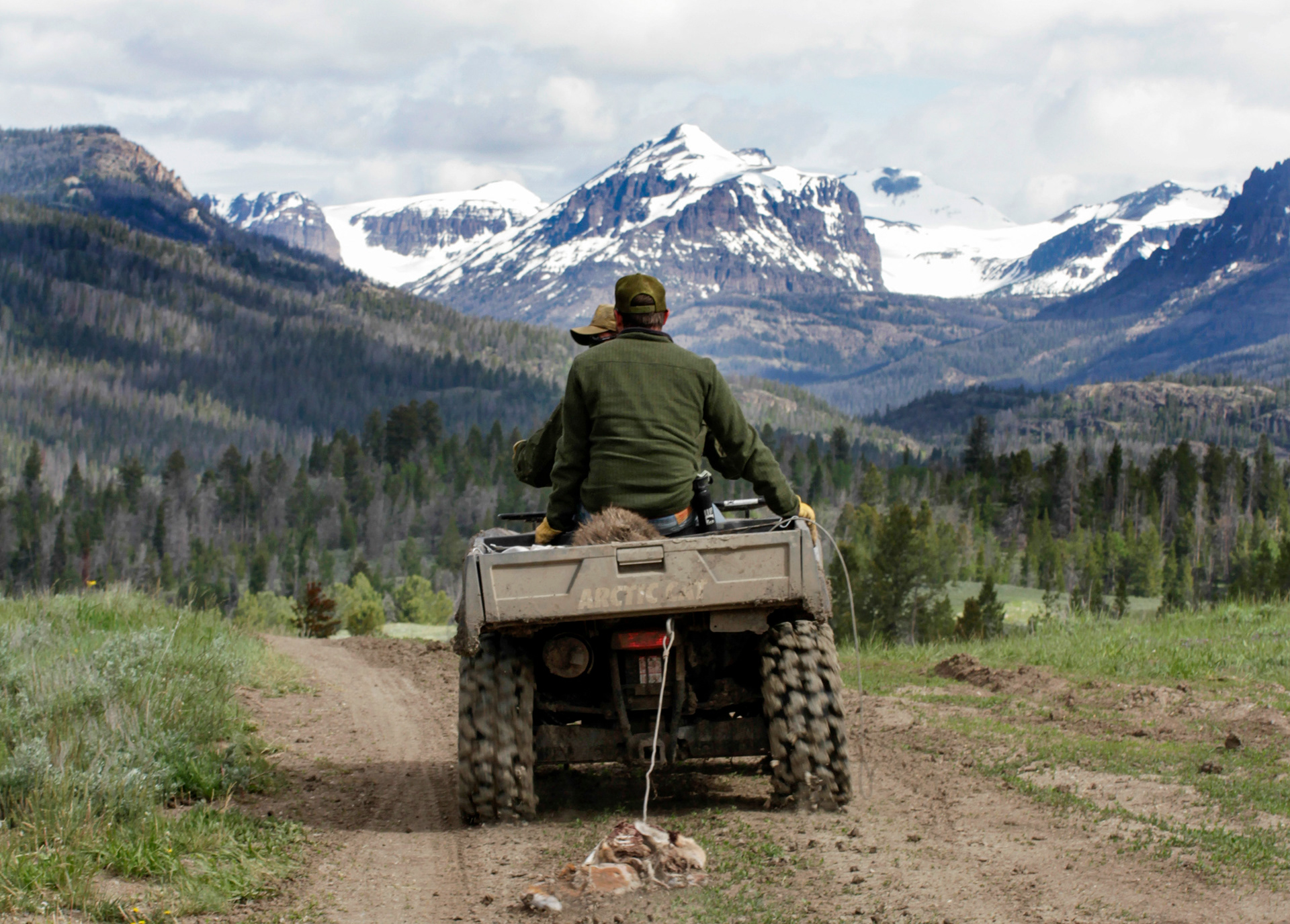 Clint Atkinson and Ryan Kindermann take an ATV out to a trap site beyond truck-accessible roads. They dragged a portion of roadkill bait behind the vehicle to create a scent path to the site - another form of luring bears to the right area.