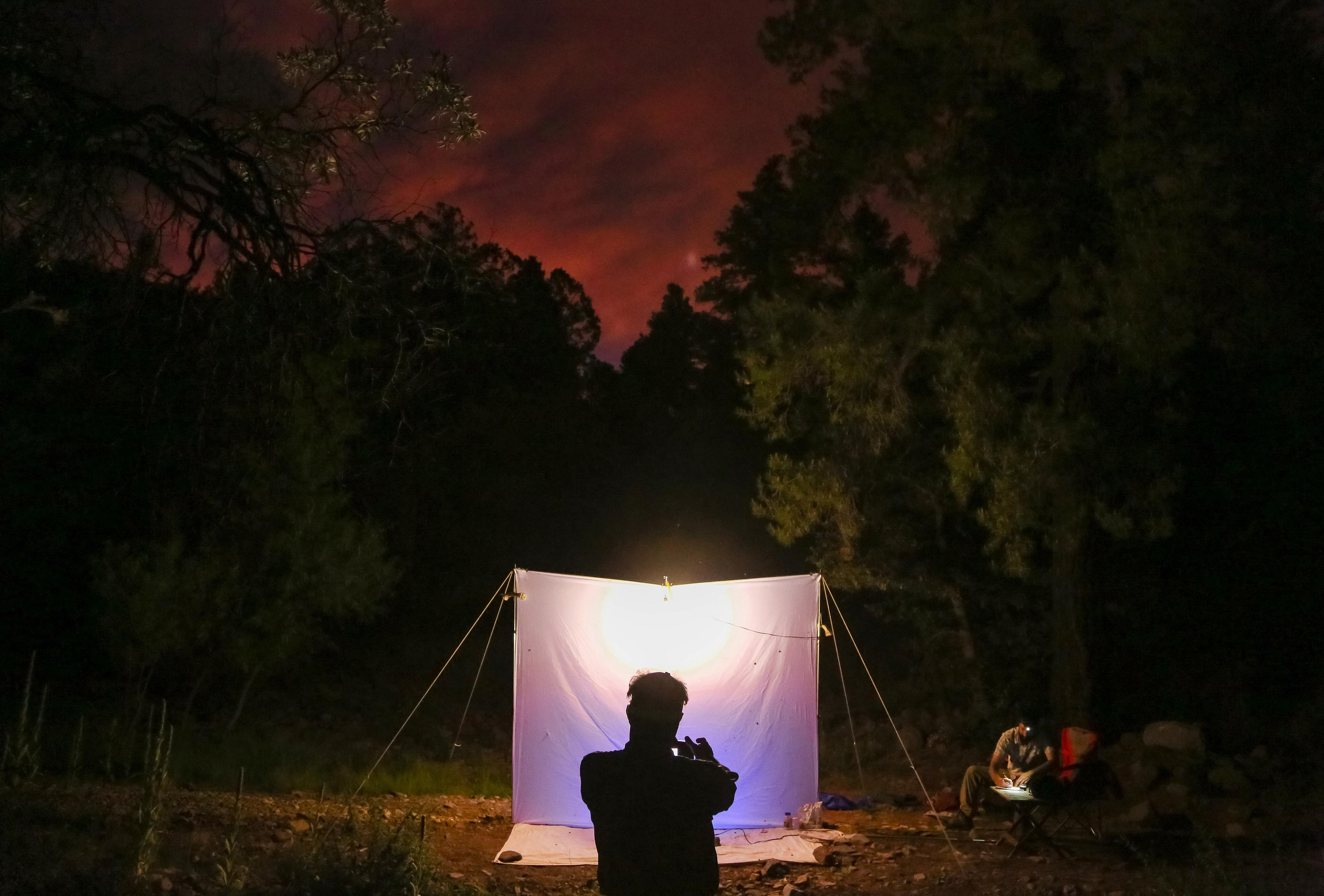 David Liittschwager sets up a time-lapse camera to capture insect swarm while the sun sets on Saturday, July 27, 2019 at Southwestern Research Station near Portal, Arizona.