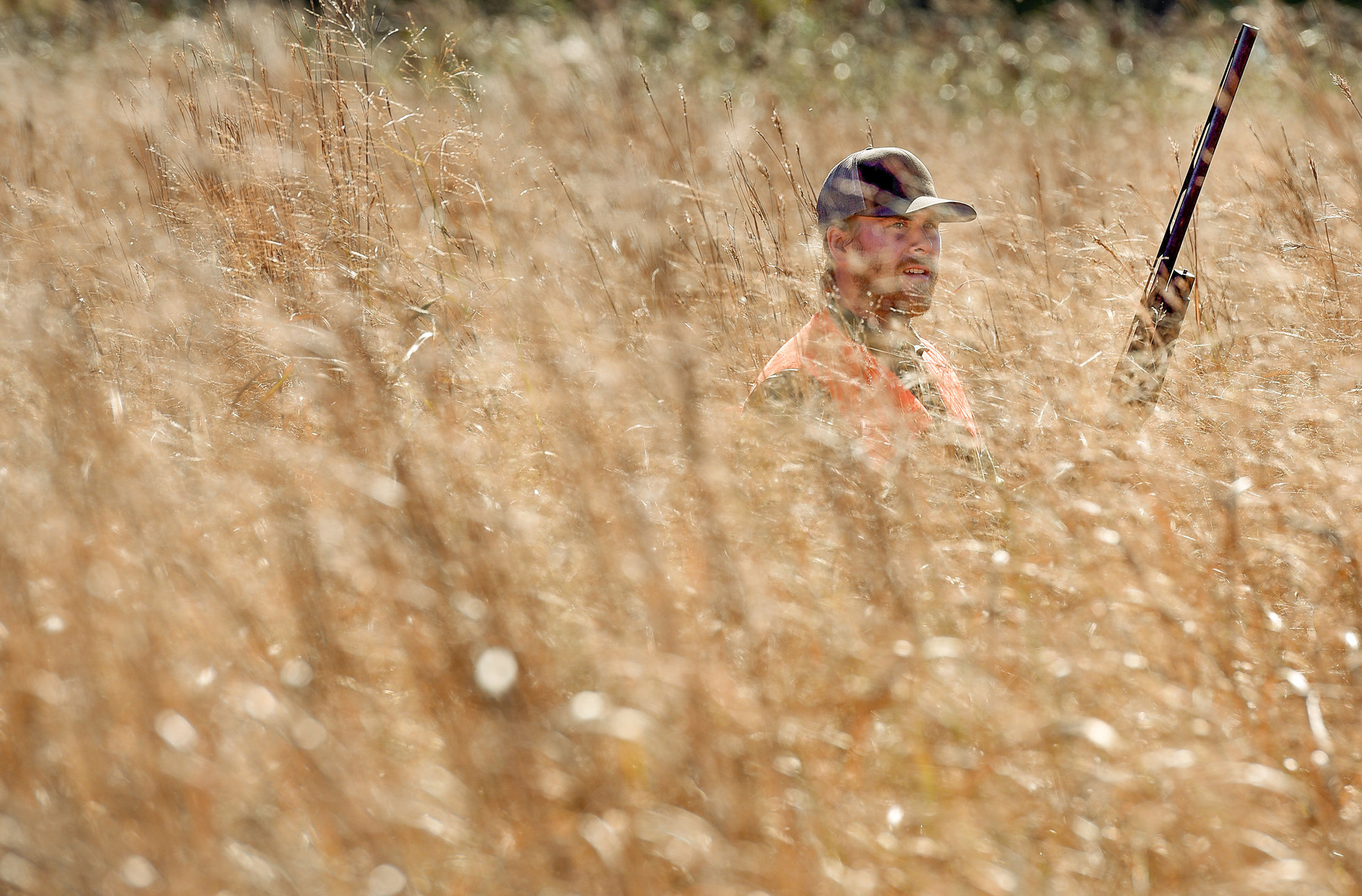 Tanner Jones moves through tall grasses to force hiding pheasants to the edge of the field during the season opener on Saturday, October 19, 2019 in Mitchell, SD.