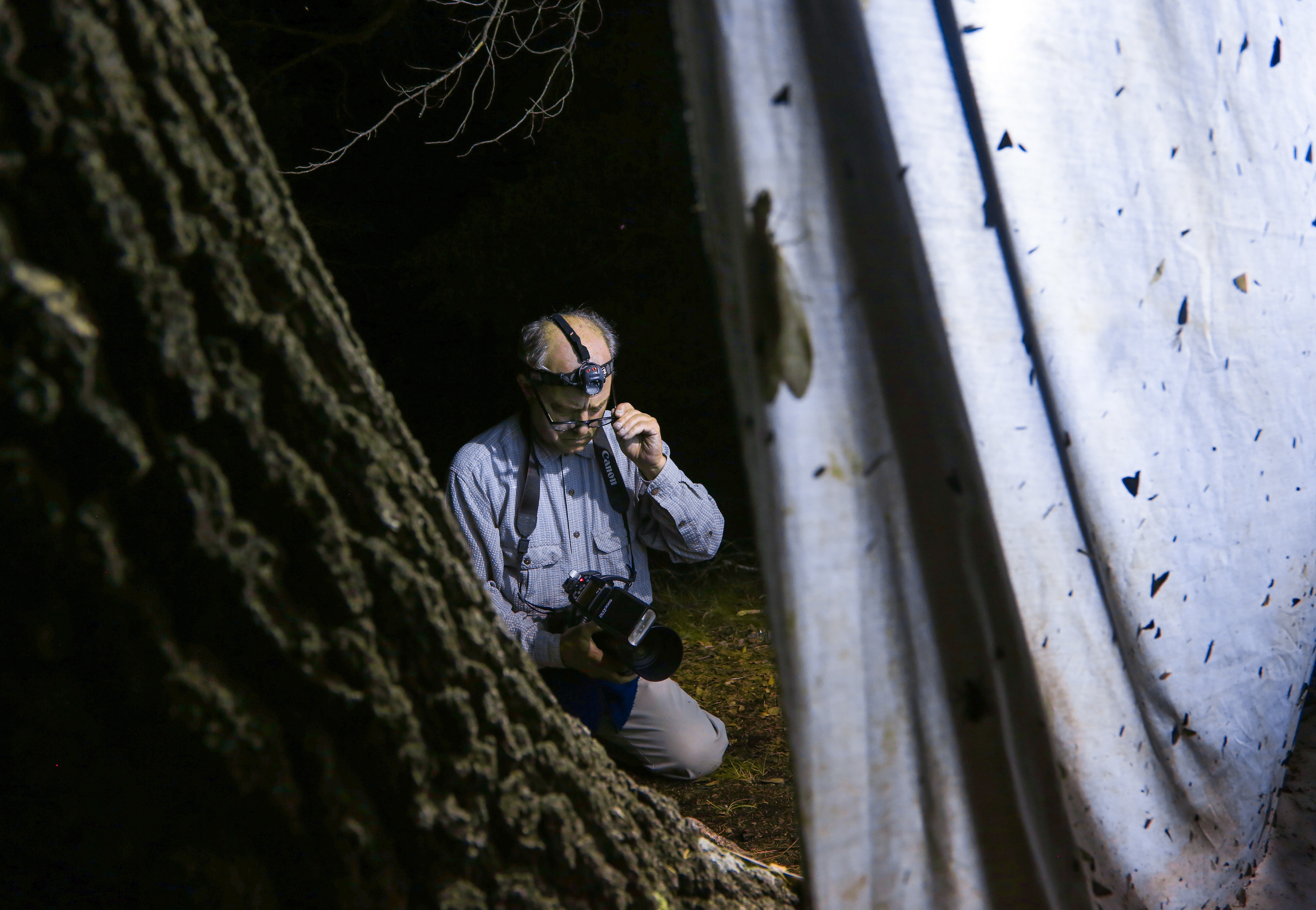 David Liittschwager photographs insects on a bed sheet on Thursday, July 25, 2019 at Southwestern Research Station near Portal, Arizona.