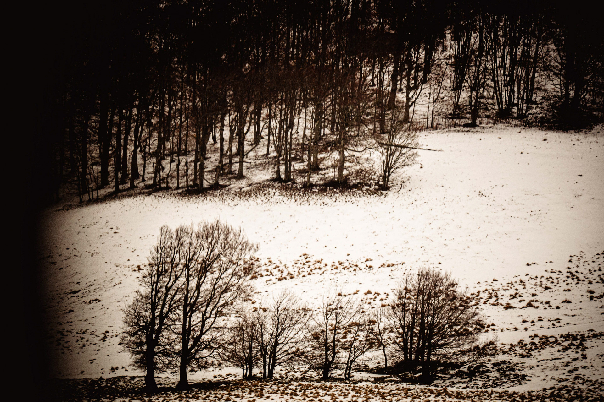 L'exode - Toile 60 x 40 cm - 2 000 €
