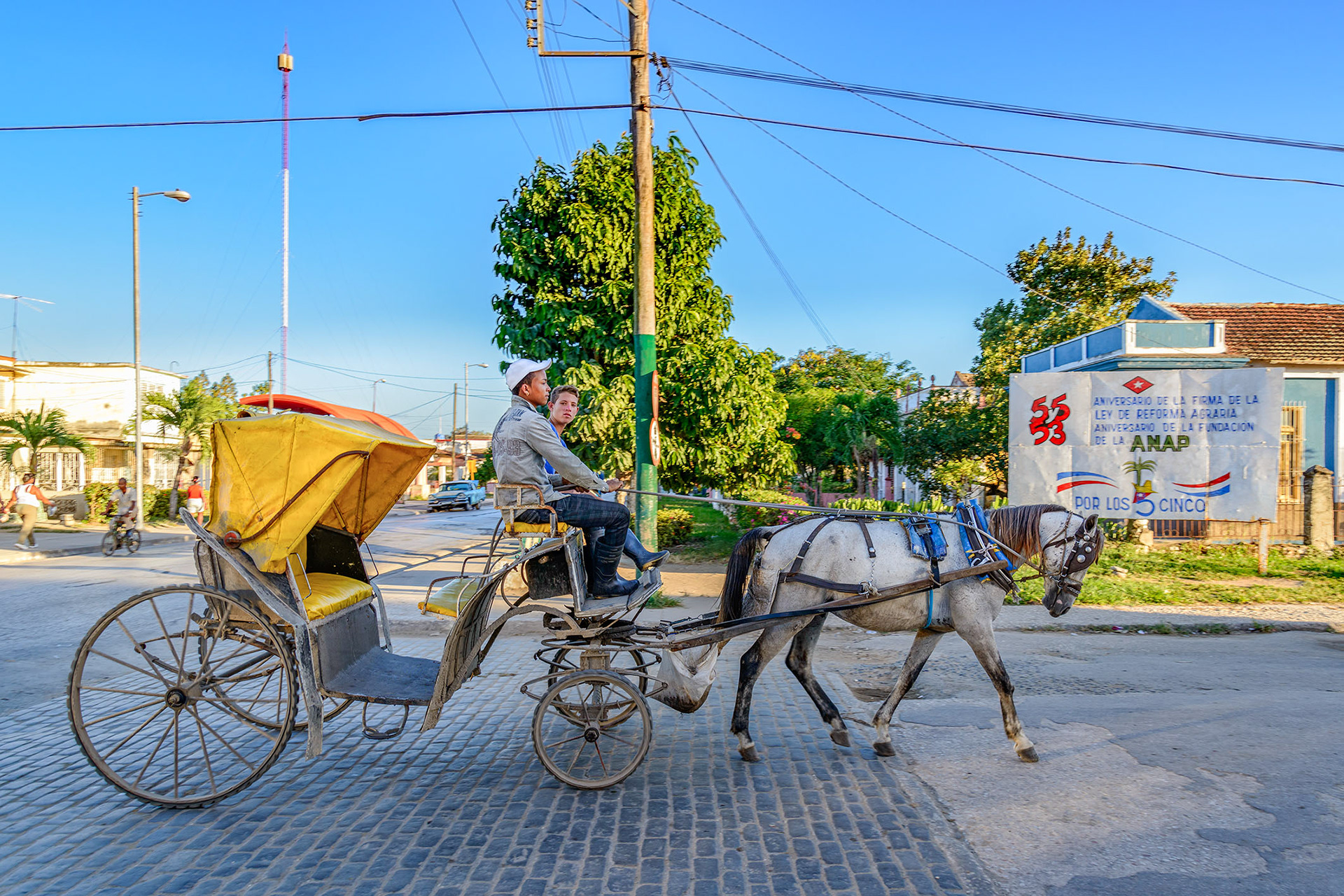 Cuban Coachmen