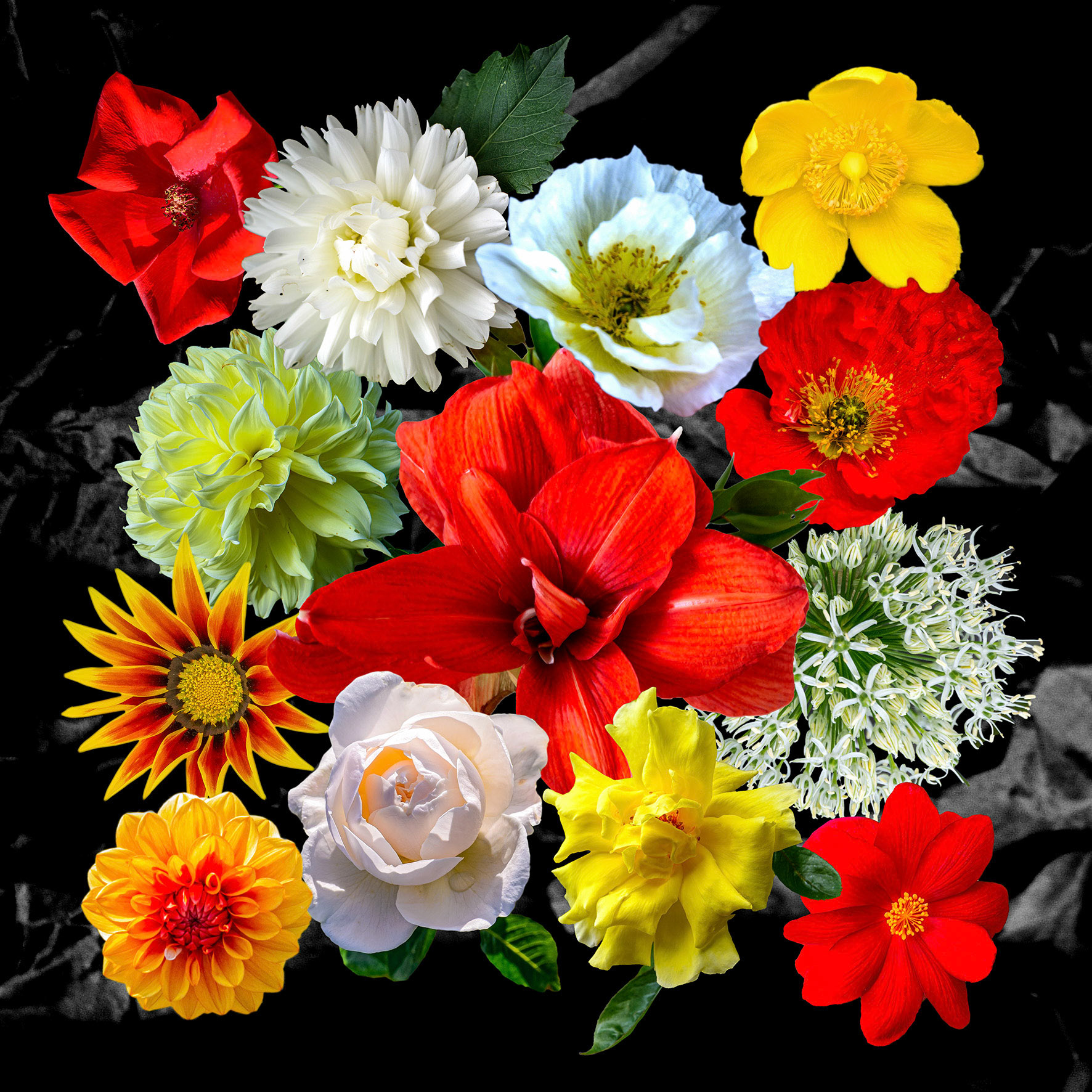 Bouquet