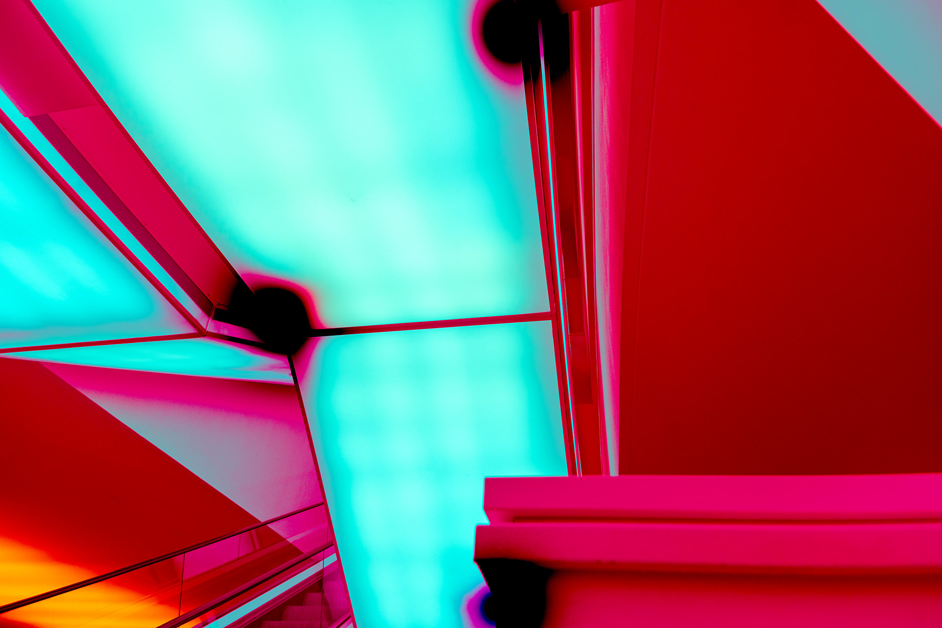 Colors of Joy