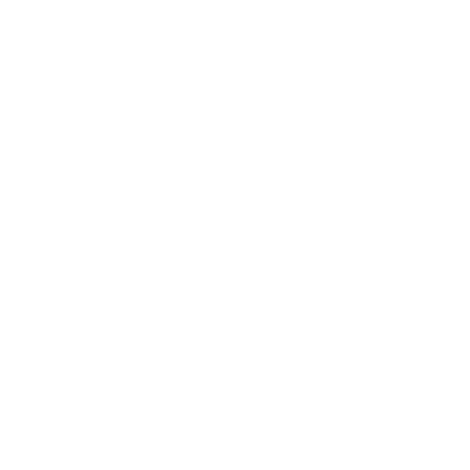 Svidowski AI Marketing Logo