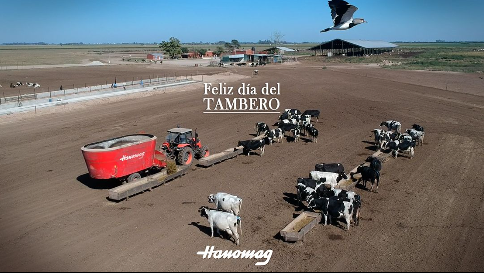 Post del Día del Tambero para redes