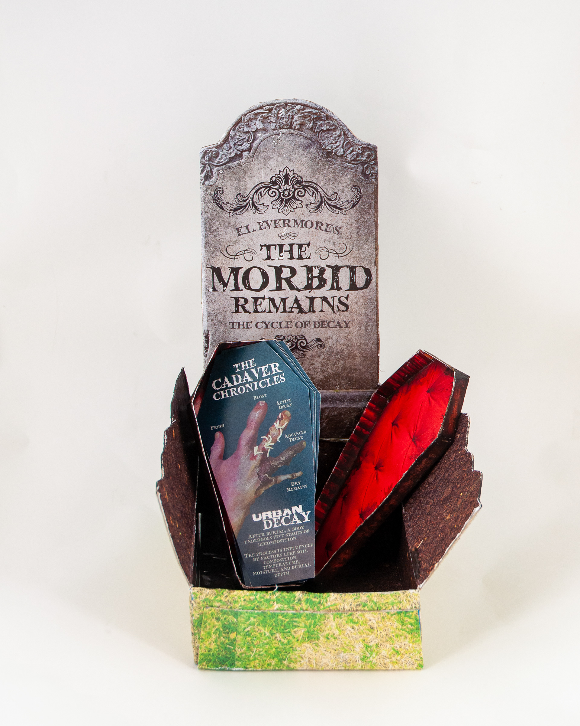 The Morbid Remains (Inside)