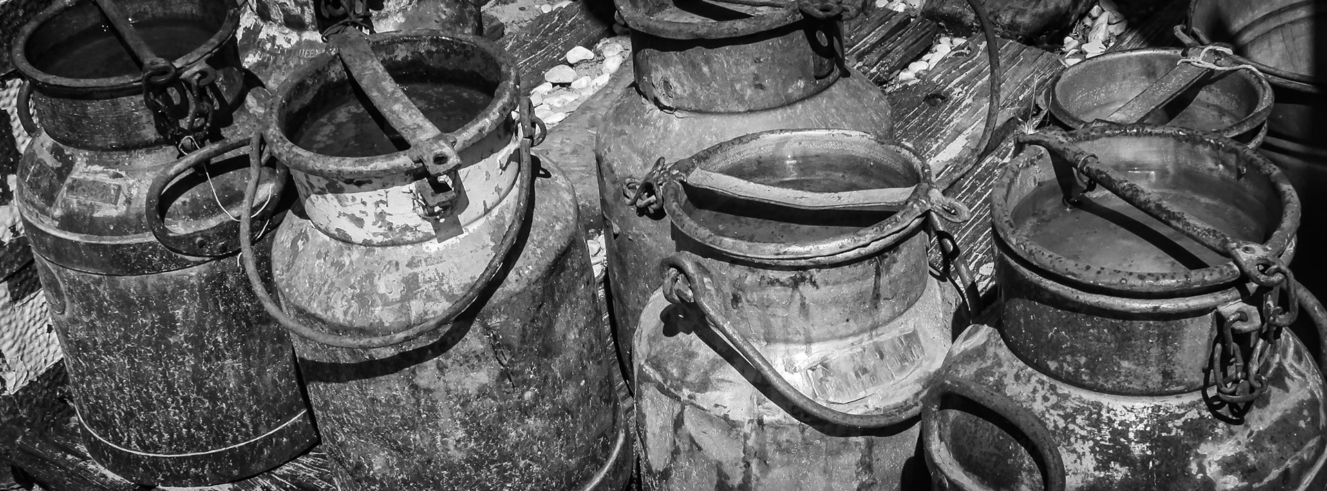 Old Rusty Milk Cans, Stellenbosch, Cape Town, South Africa