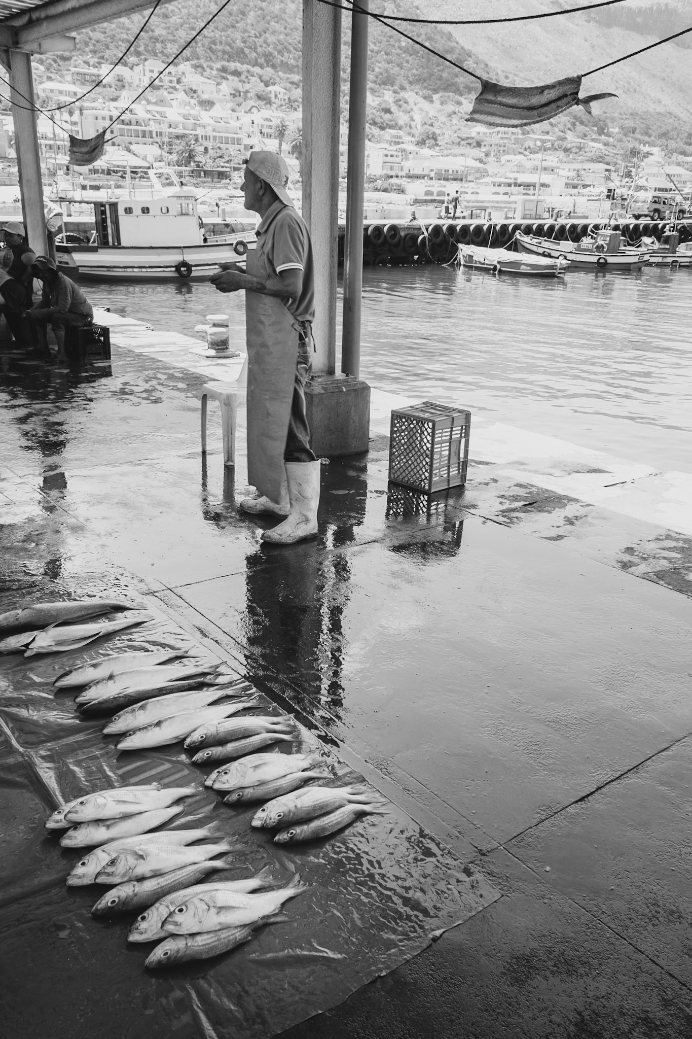 Kalkys, Found on the Southern coast towards Simons Town. A little fishing harbour well know for its fresh fish, Fish Mongers and Restaurants.