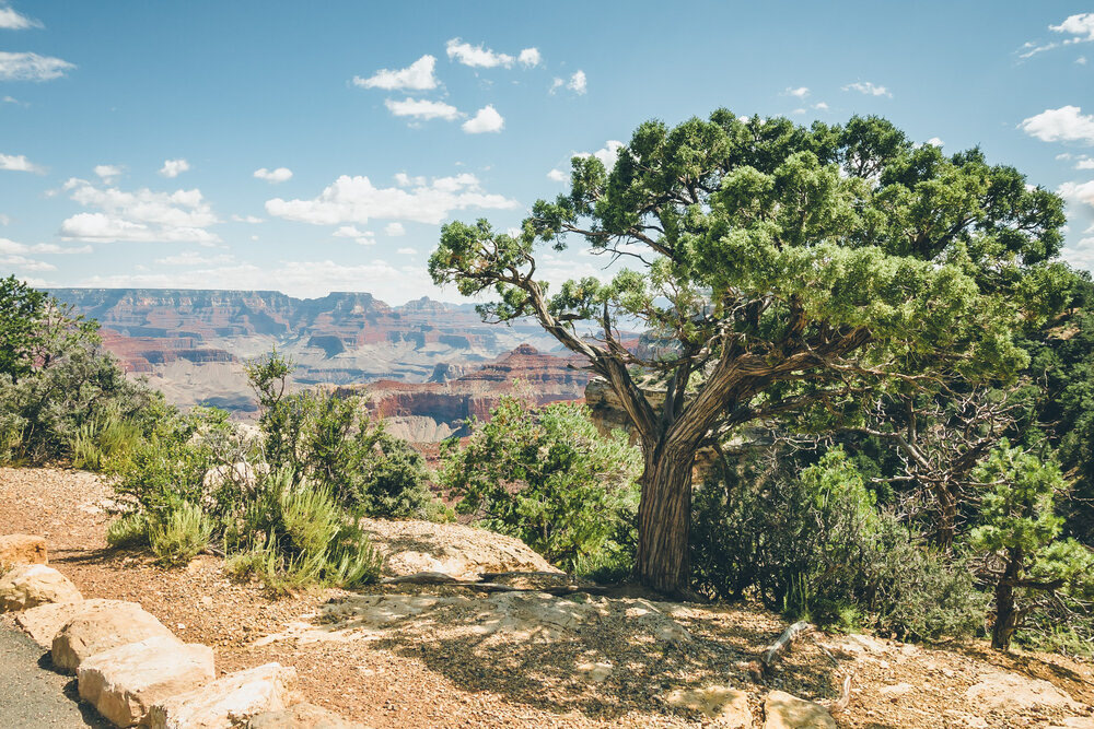 Grand Canyon National Park