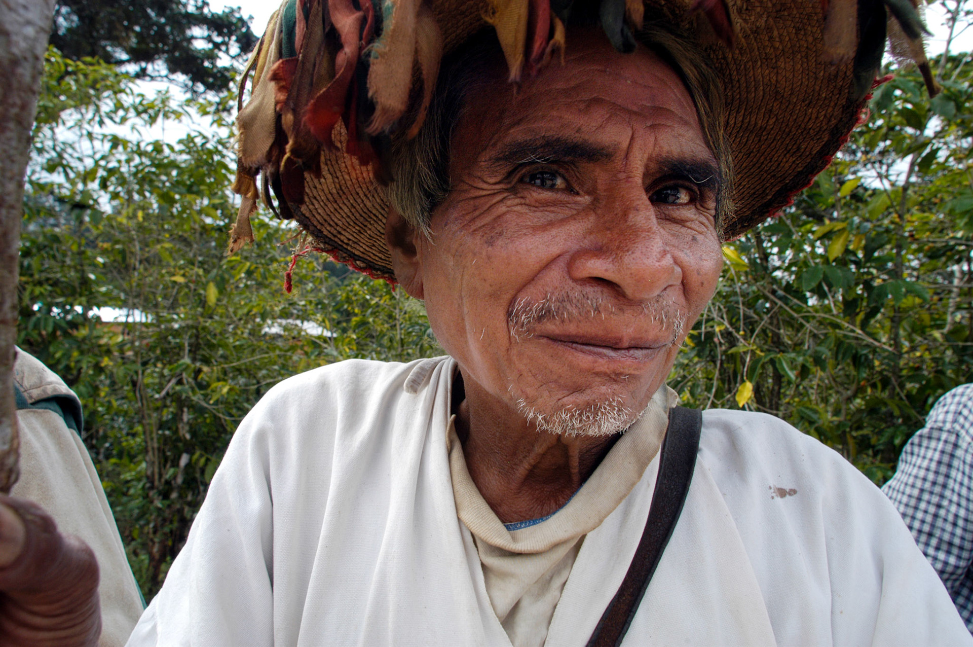 Tzotsil coffee farmer from the Majomut cooperative, Chiapas, Mexico. 