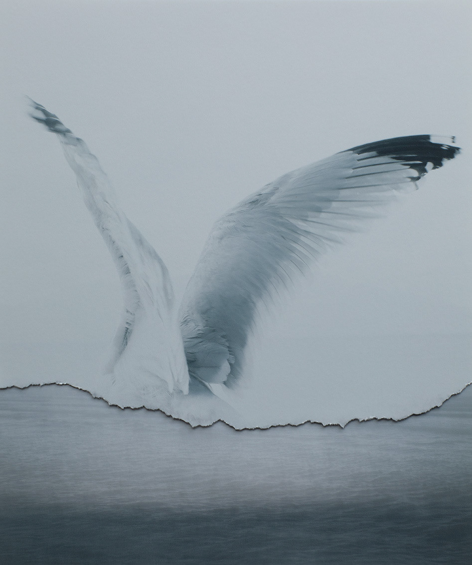 Memoryscapes, Envol, 2025 © Marilia Destot