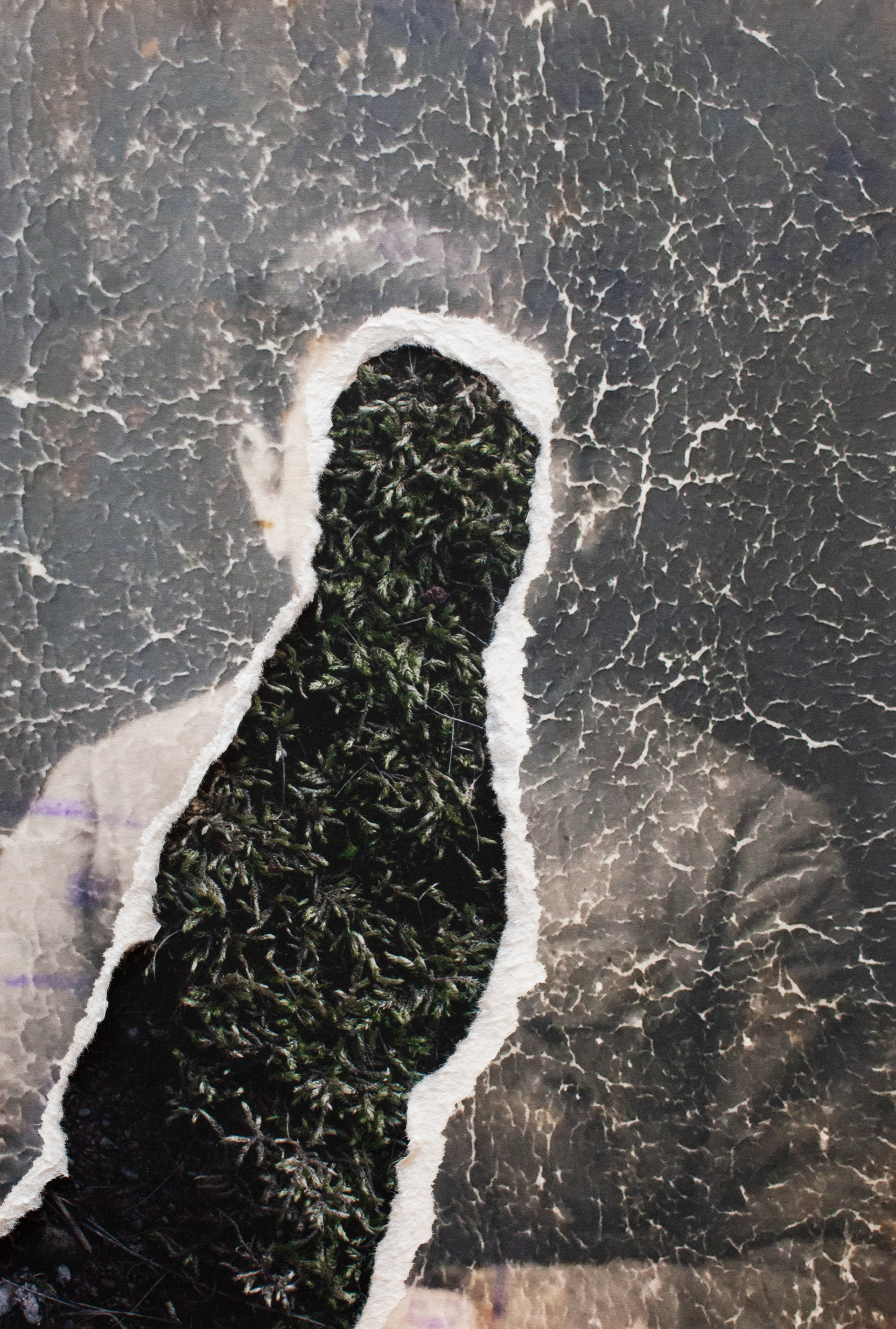 The Journey, Torn Portrait (B.