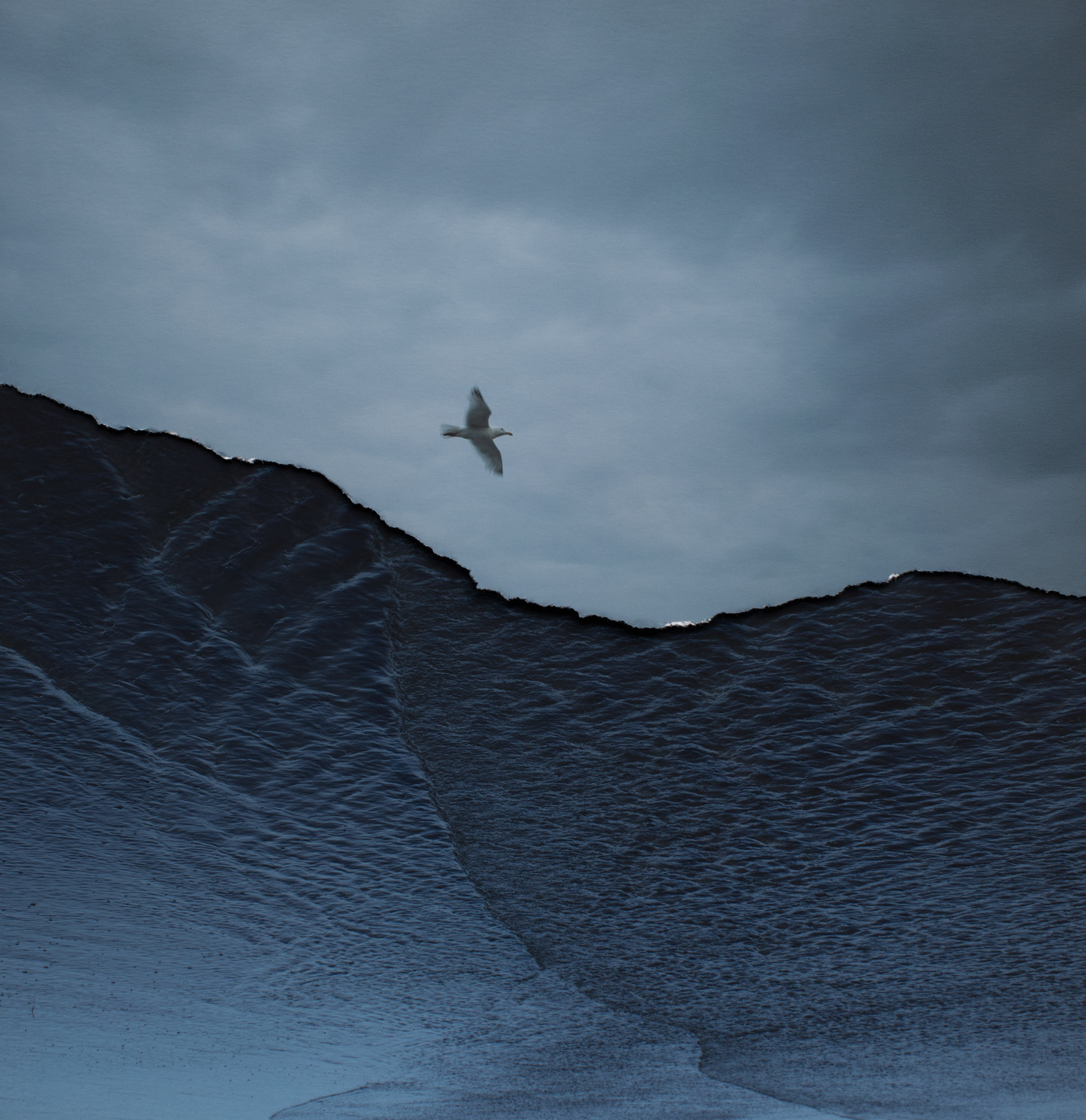 Memoryscapes, Ondes Marines, 2025 © Marilia Destot