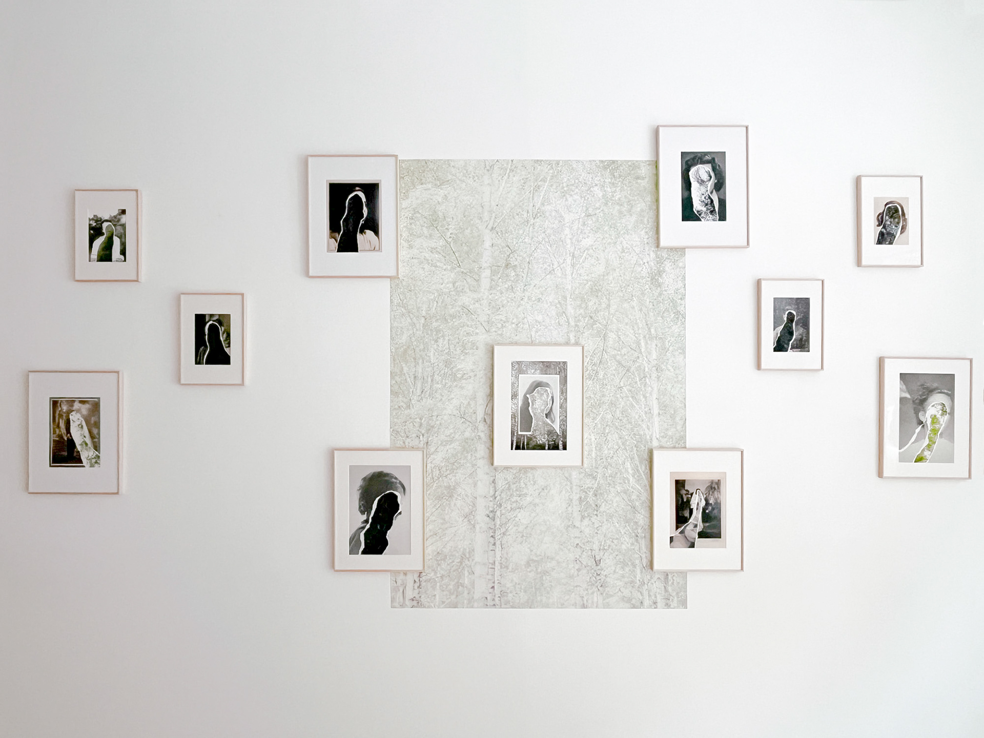 Torn Portraits