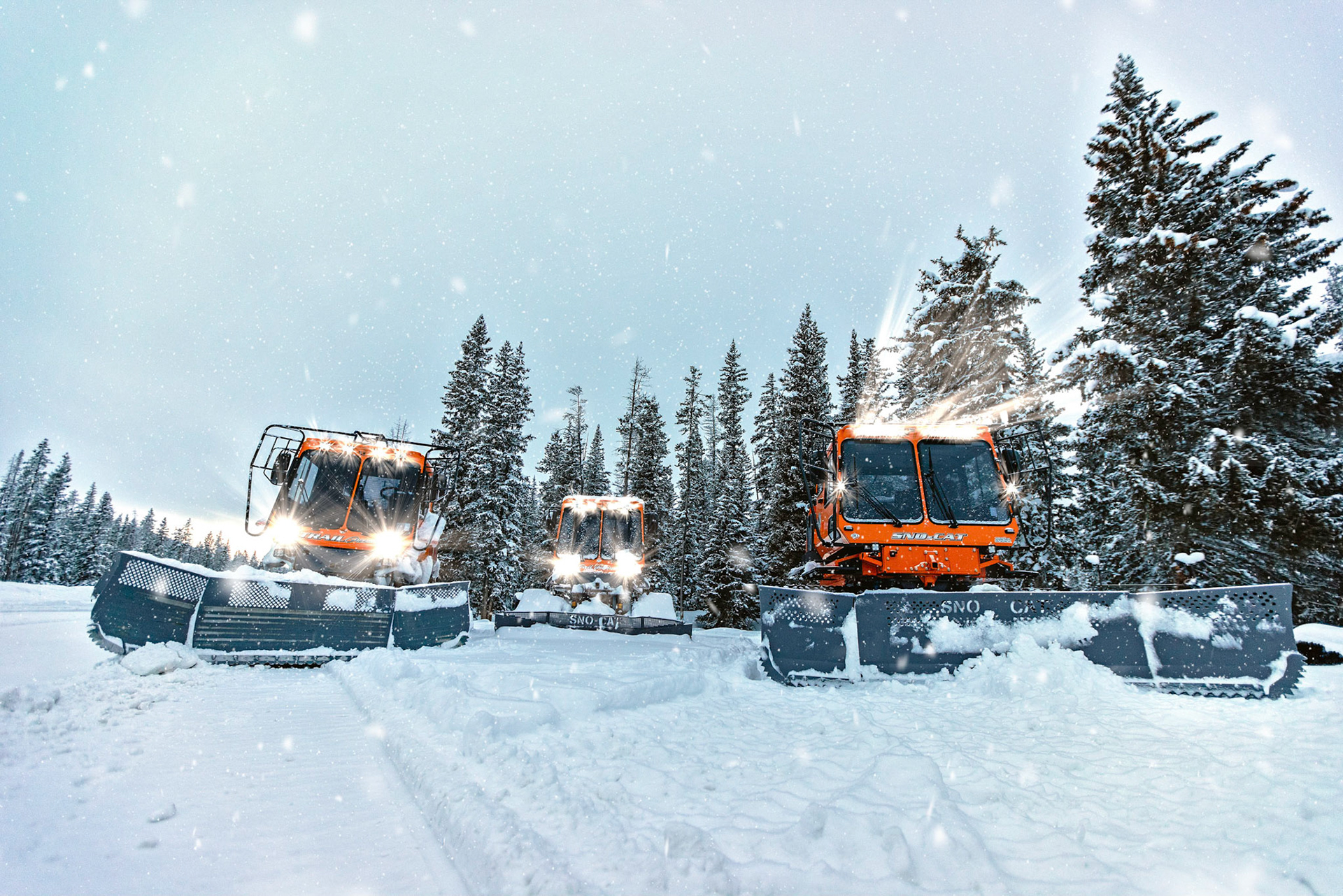 "Snow Cats Are So Sick" - 1/30/18 - Bridger-Teton National Forest, WY