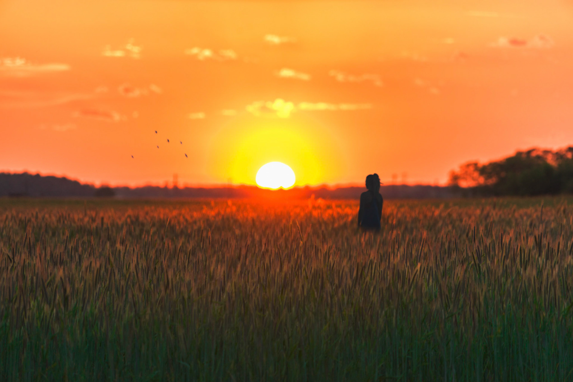 "Oxford Sunsets Forever" - 5/1/17 - Oxford, OH